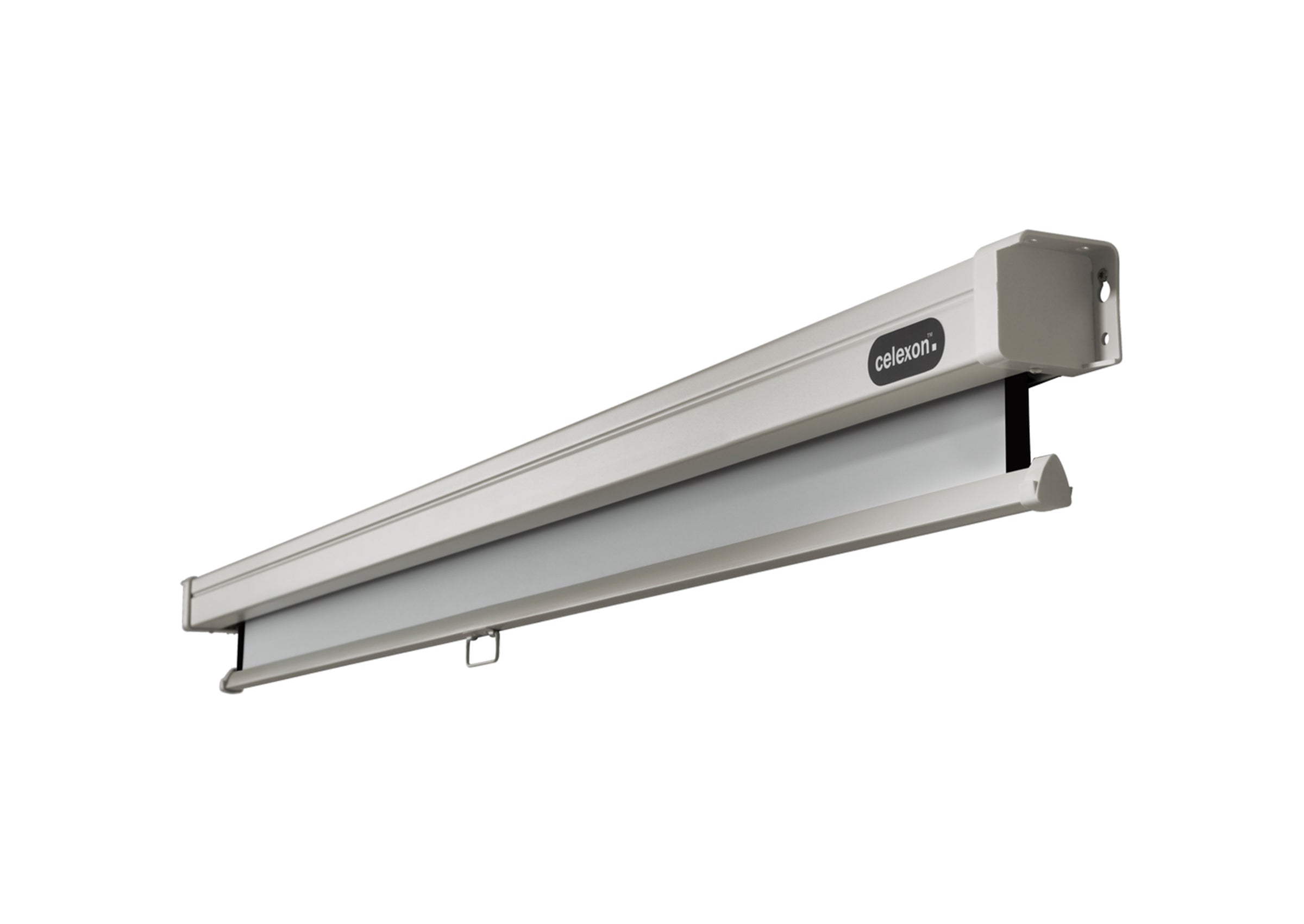celexon Leinwand Rollo Professional