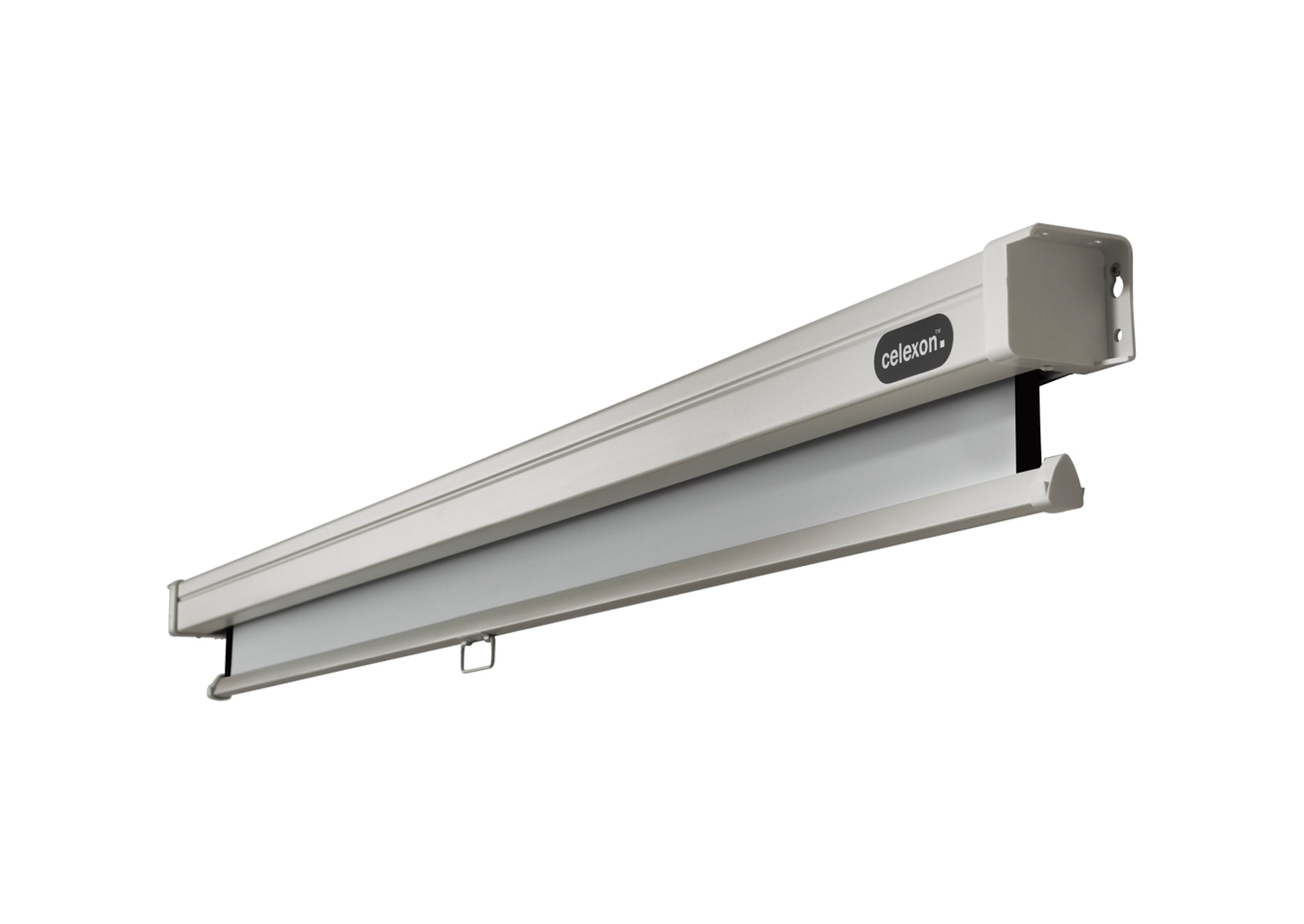 celexon Leinwand Rollo Professional