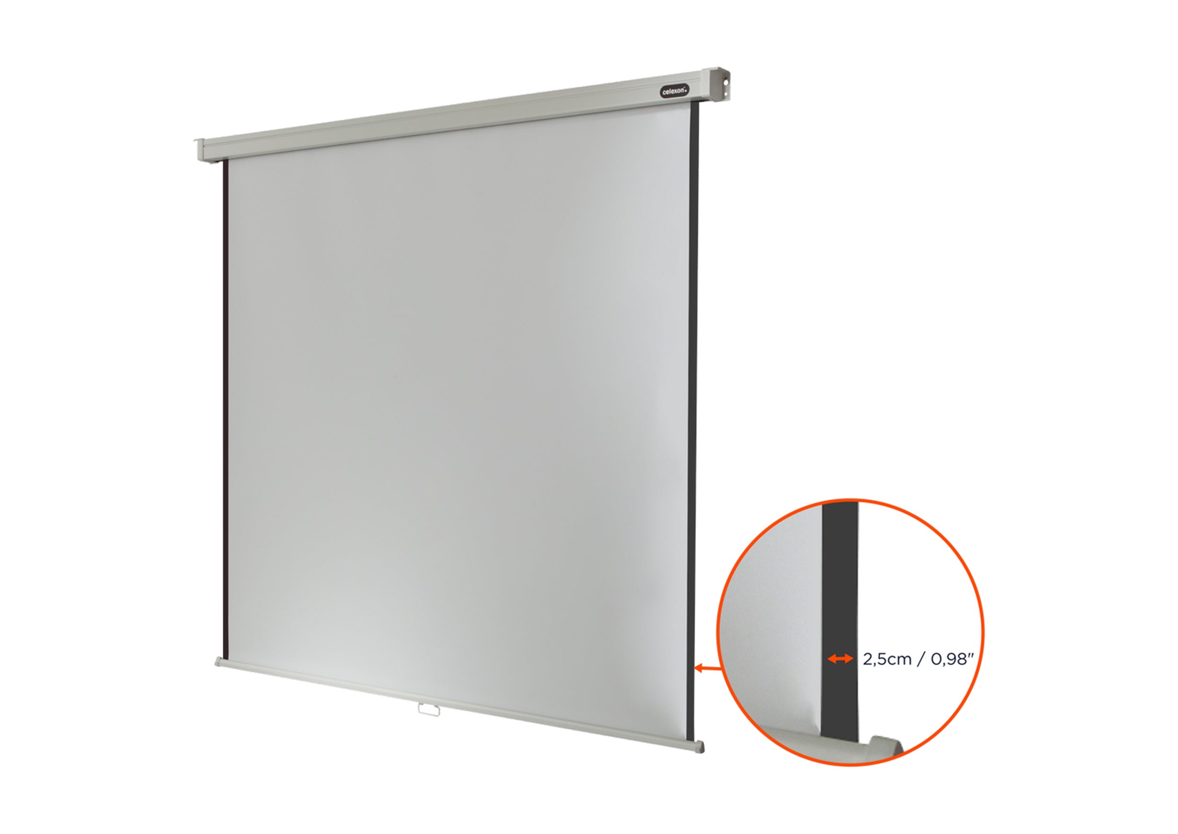 celexon Leinwand Rollo Professional