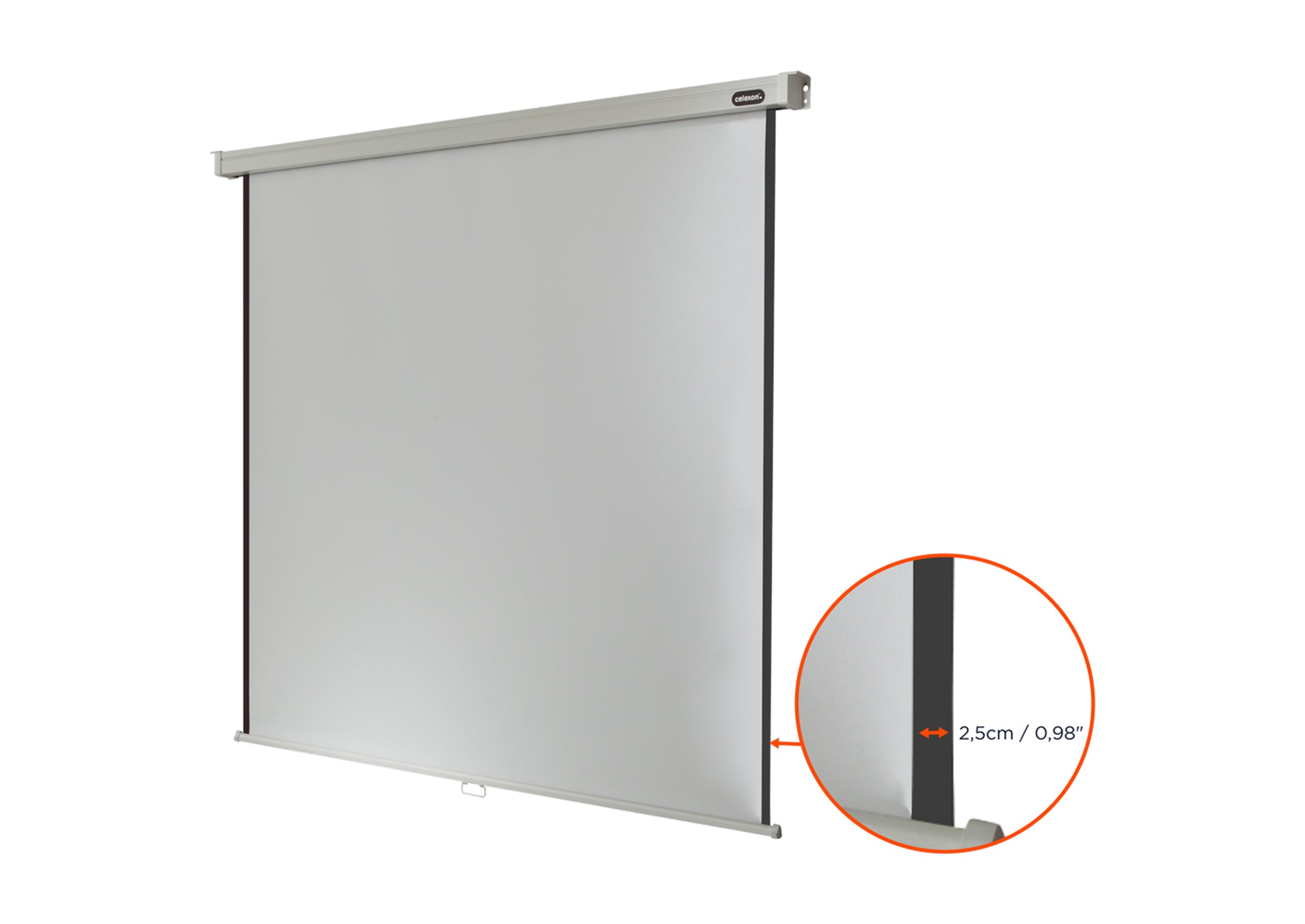 celexon Leinwand Rollo Professional