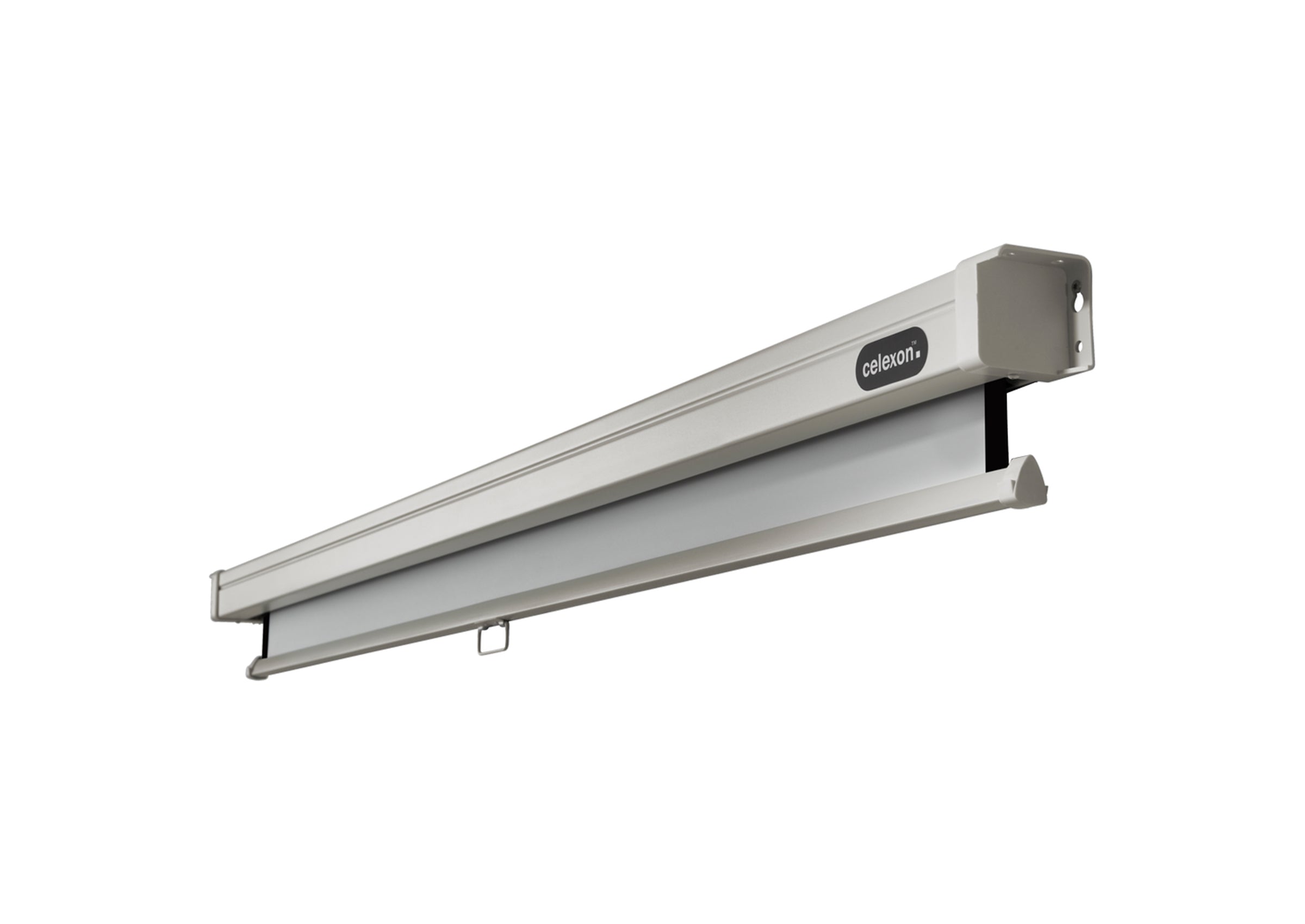 celexon Leinwand Rollo Professional