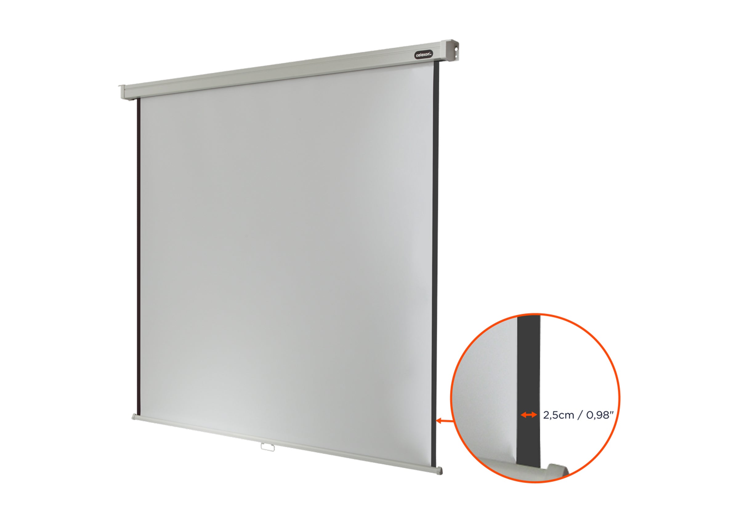 celexon Leinwand Rollo Professional