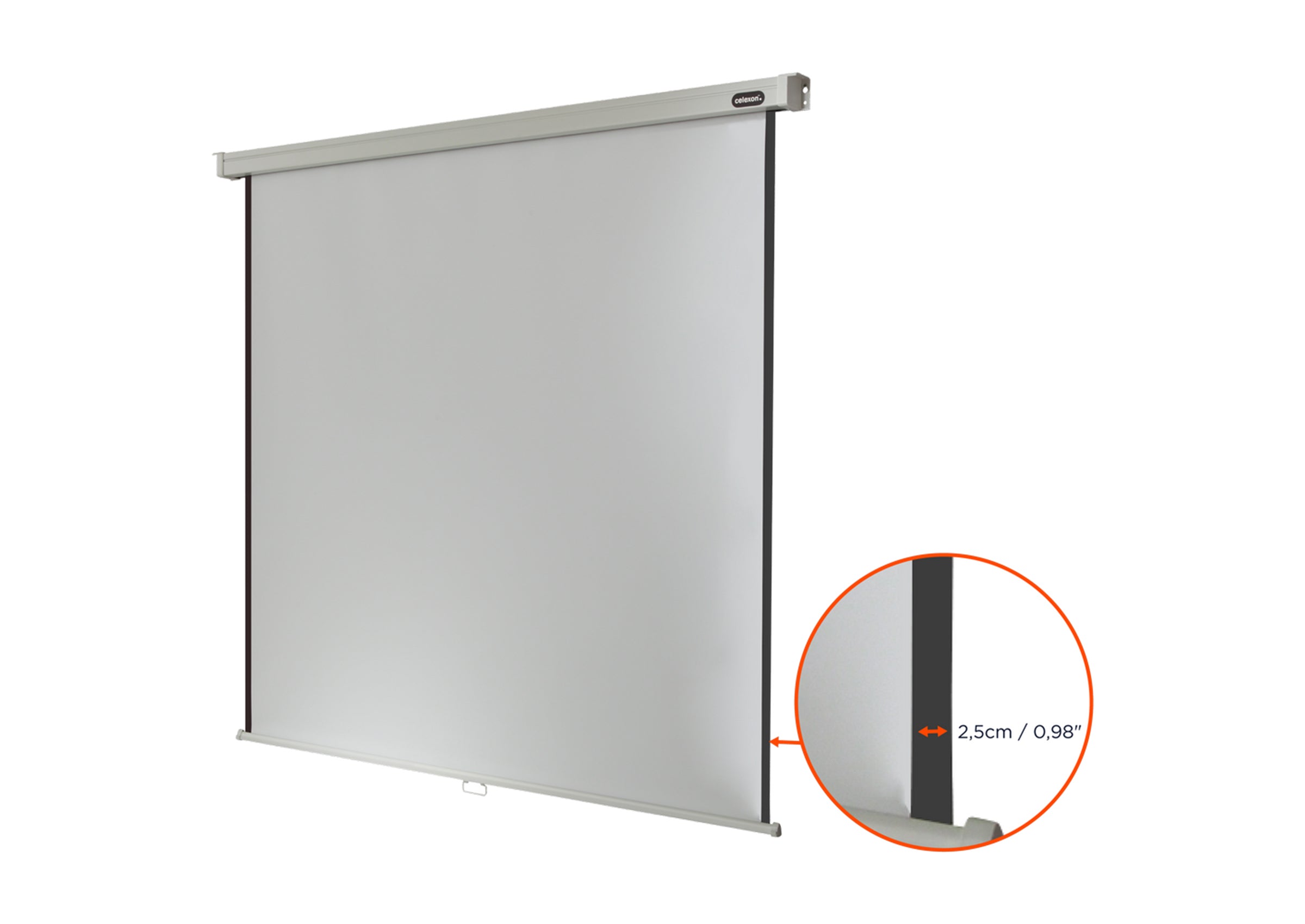 celexon Leinwand Rollo Professional