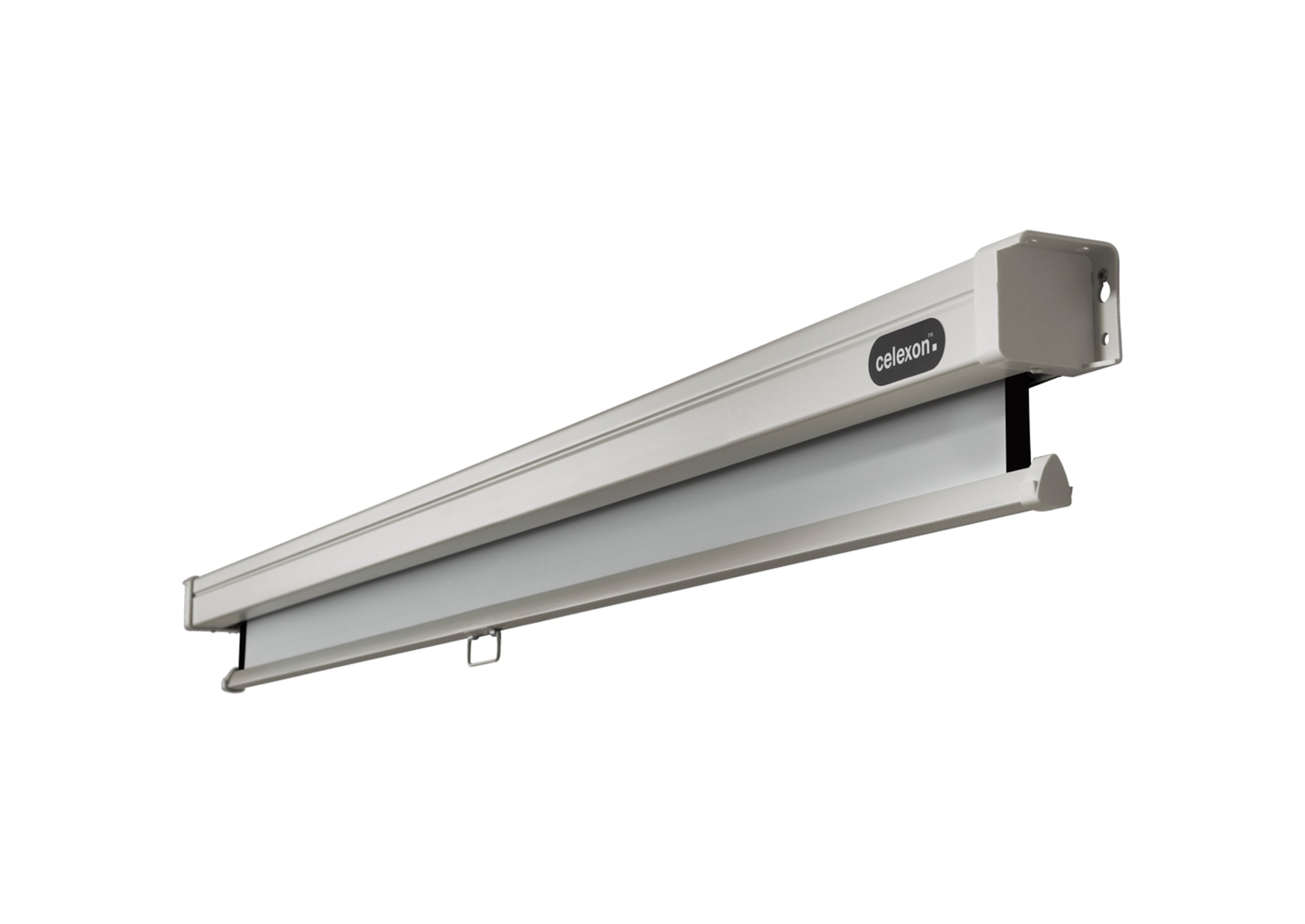 celexon Leinwand Rollo Professional