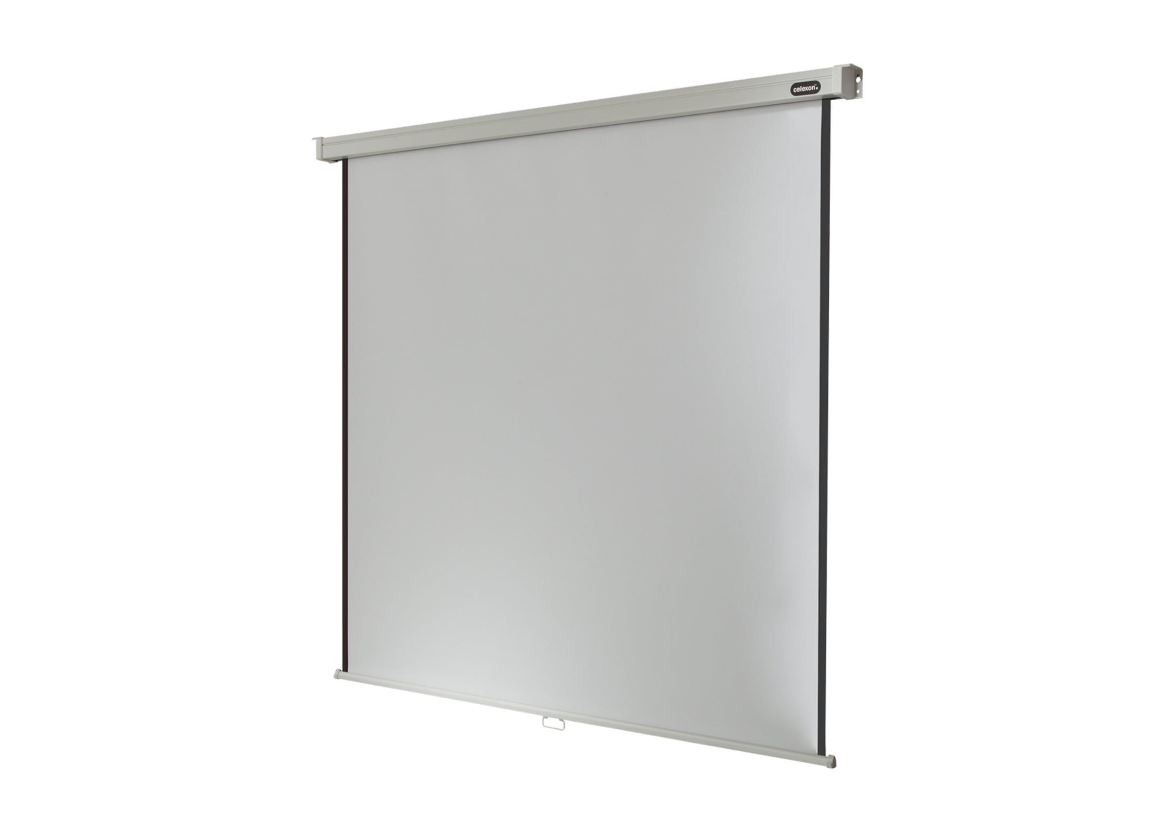 celexon Leinwand Rollo Professional