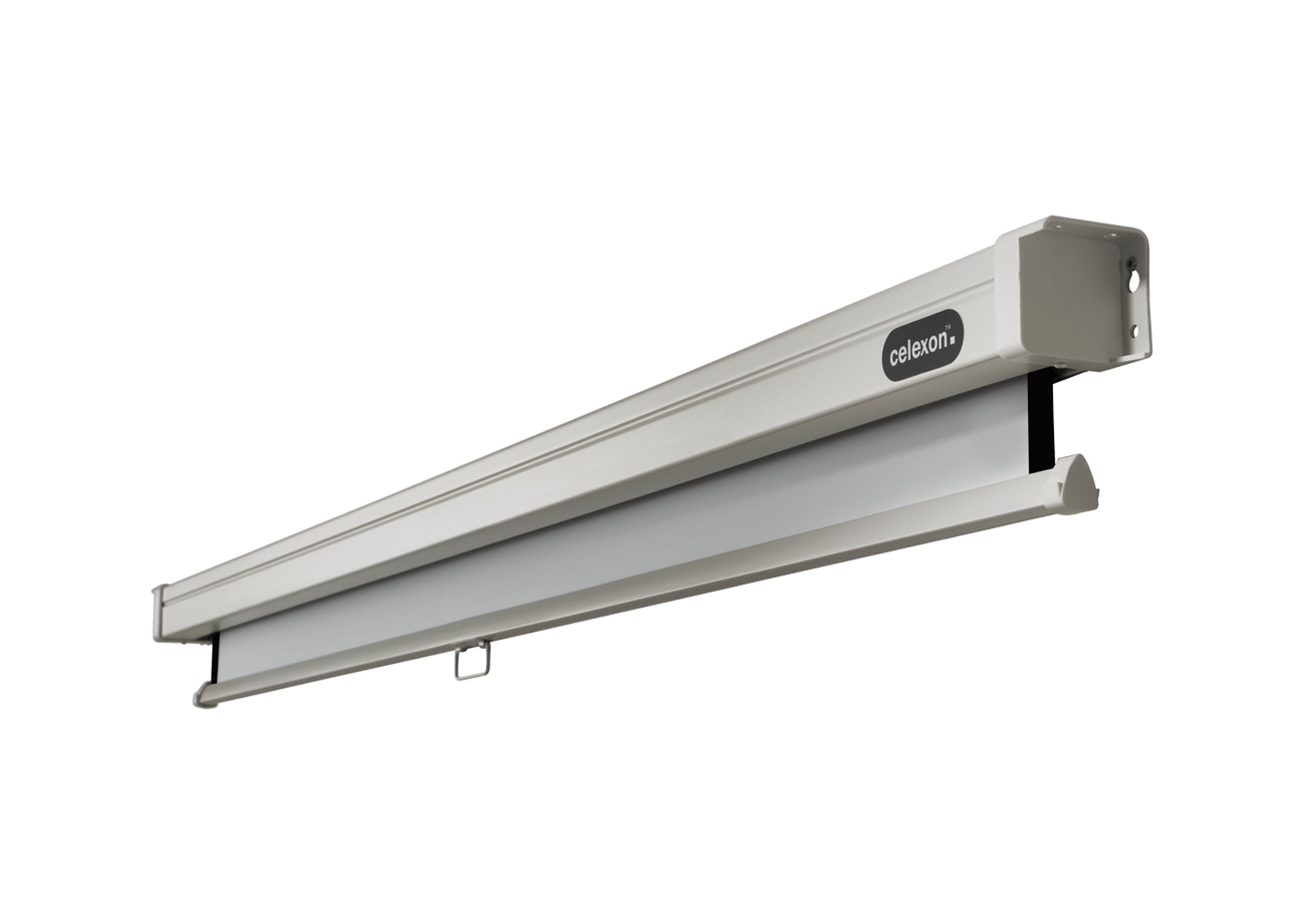 celexon Leinwand Rollo Professional
