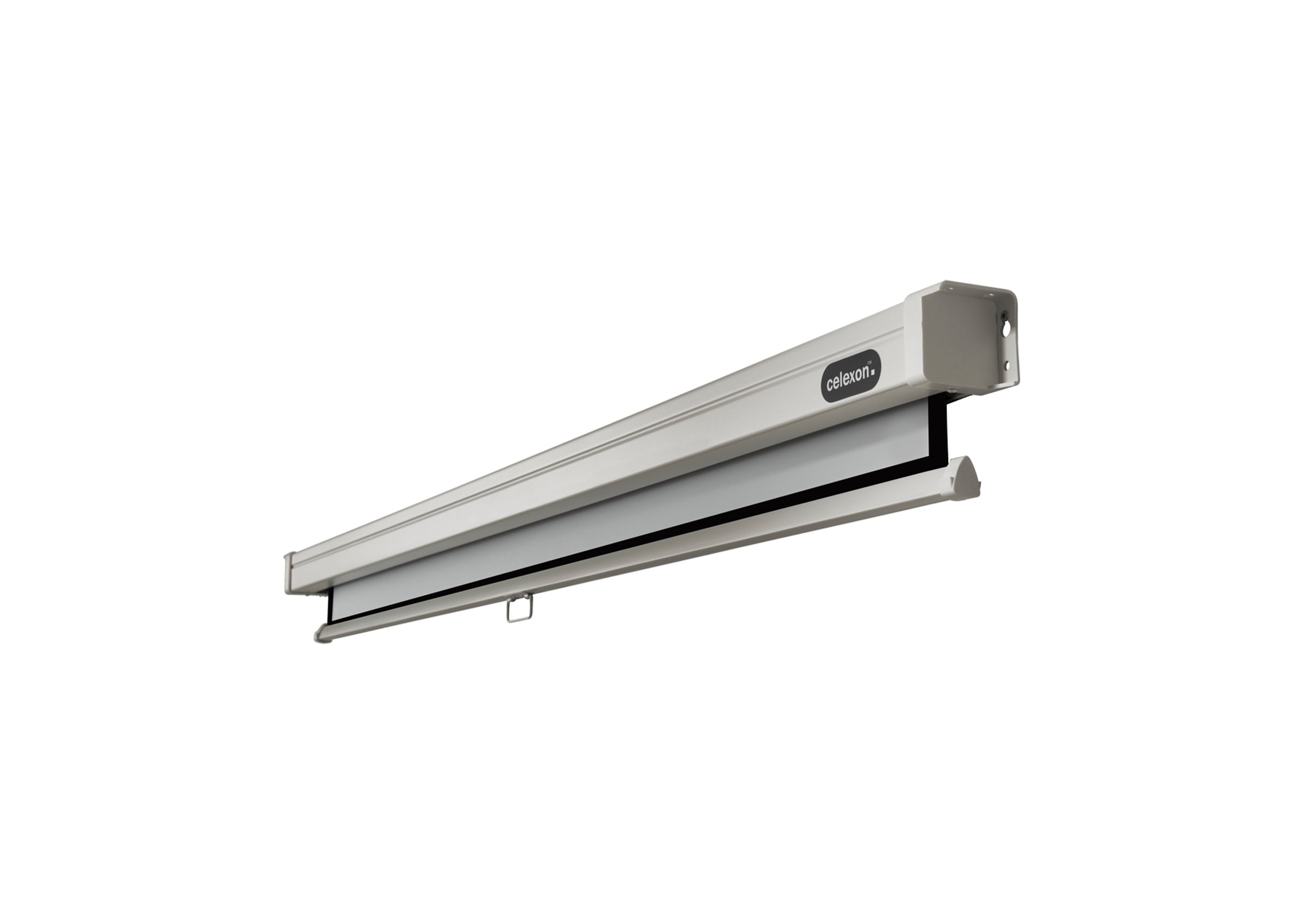 celexon Leinwand Rollo Professional