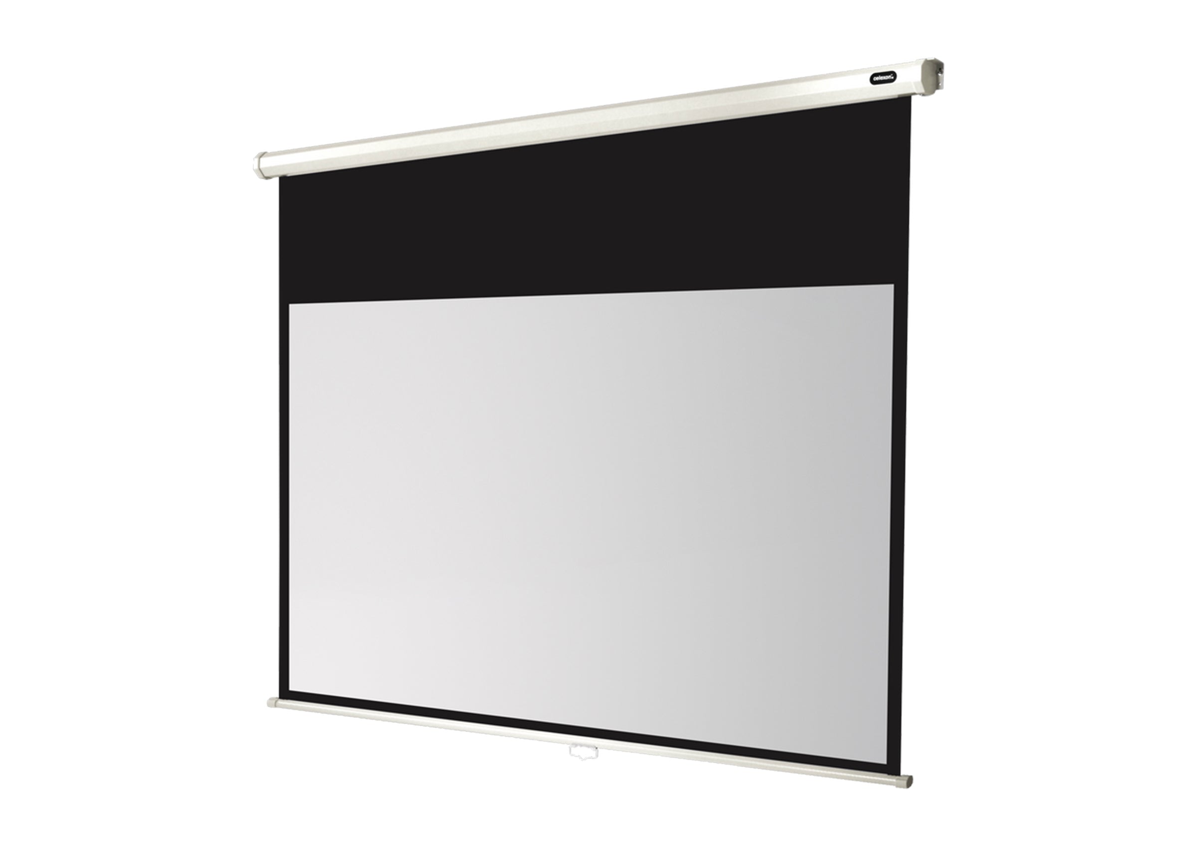 celexon Leinwand Rollo Economy