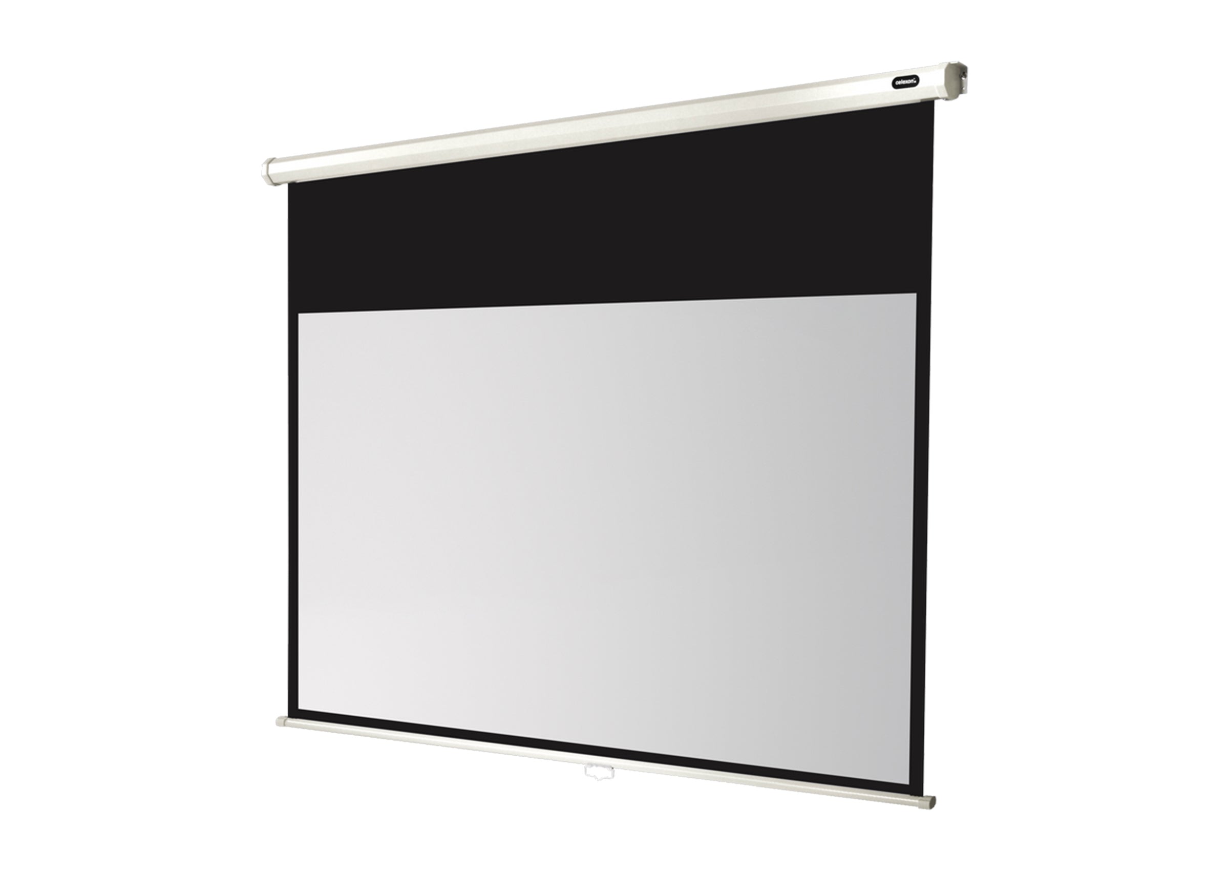 celexon Leinwand Rollo Economy