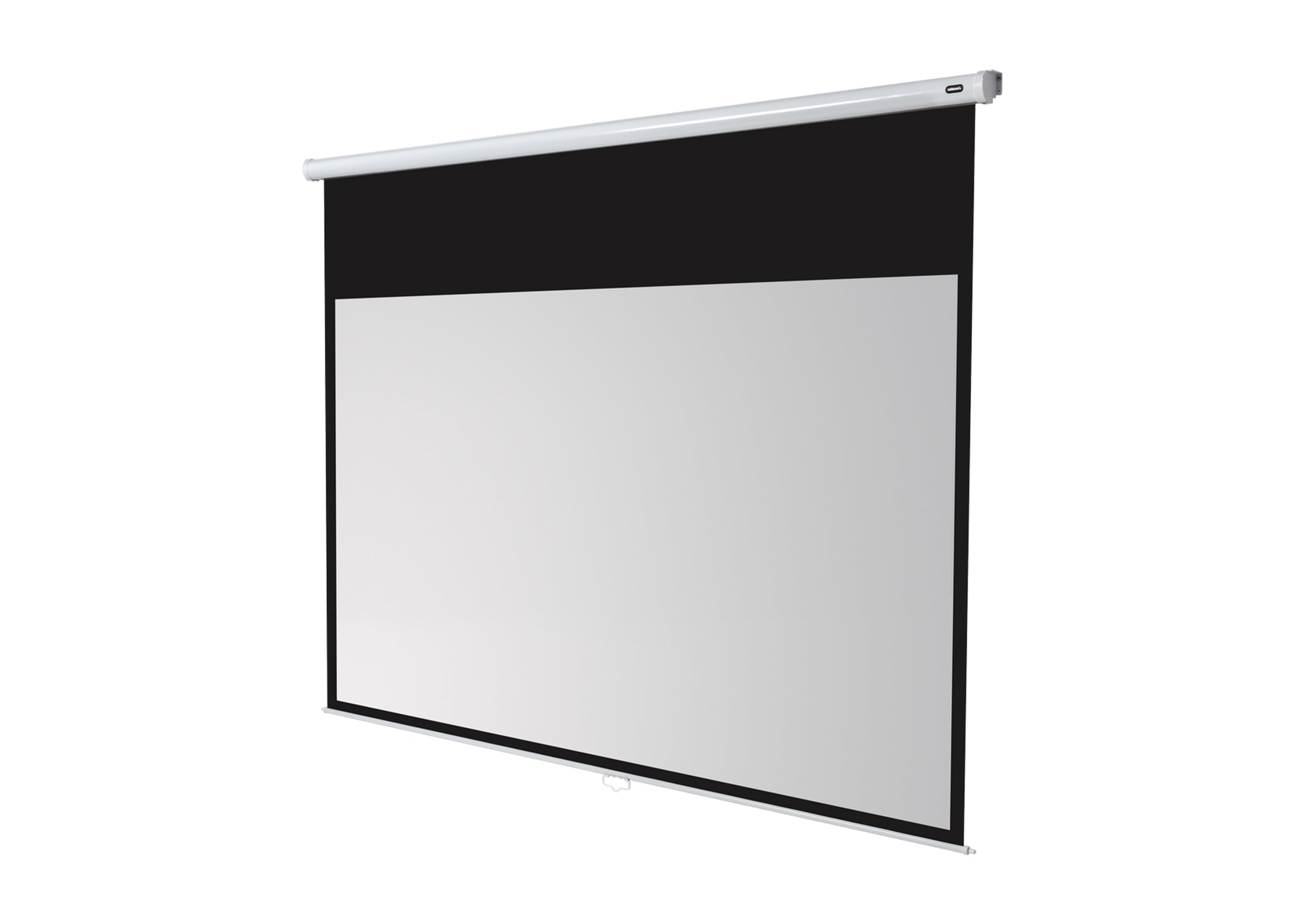 celexon Leinwand Rollo Economy