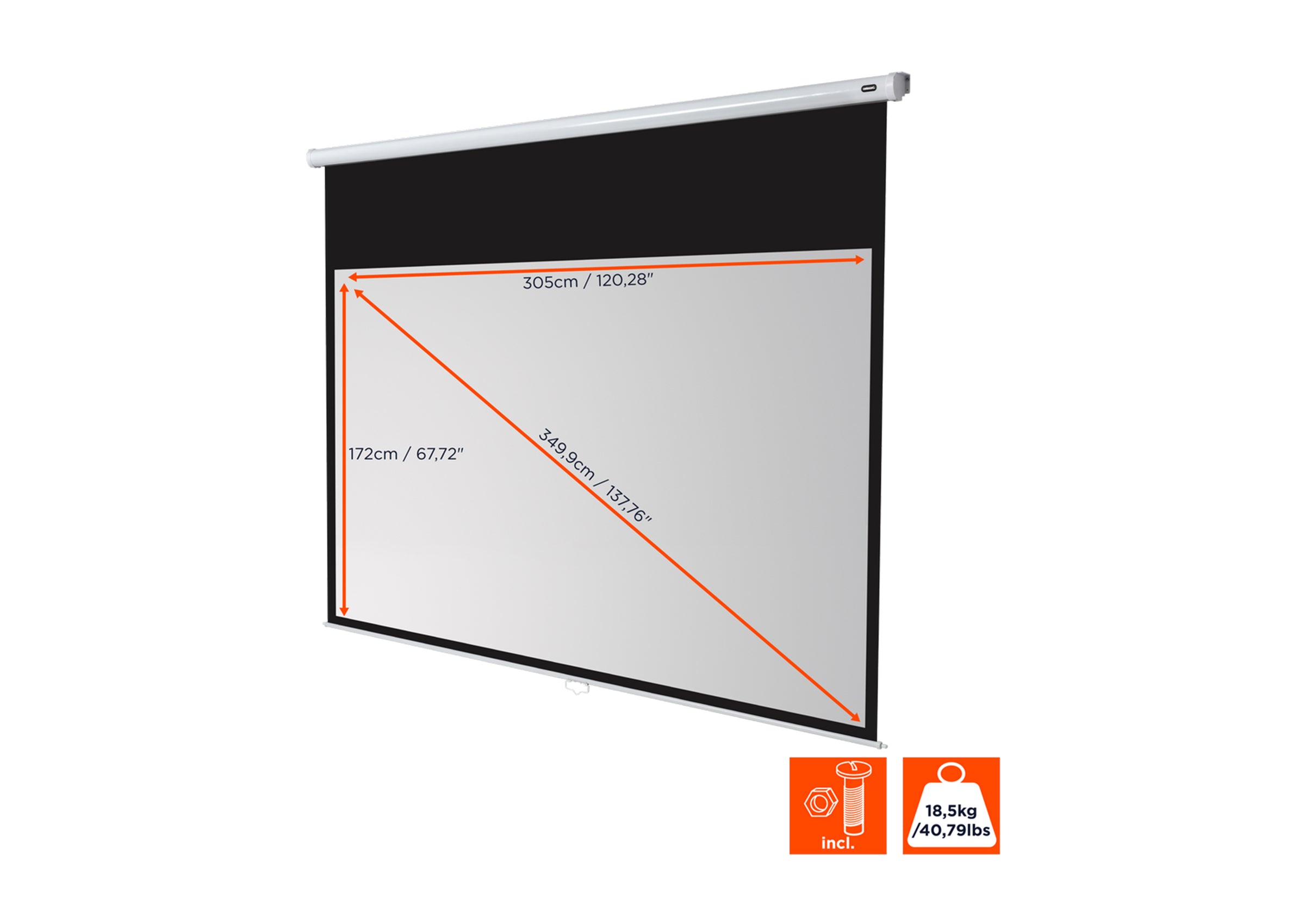 celexon Leinwand Rollo Economy