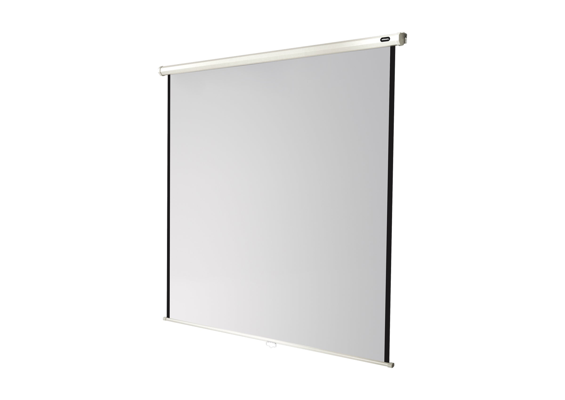 celexon Leinwand Rollo Economy