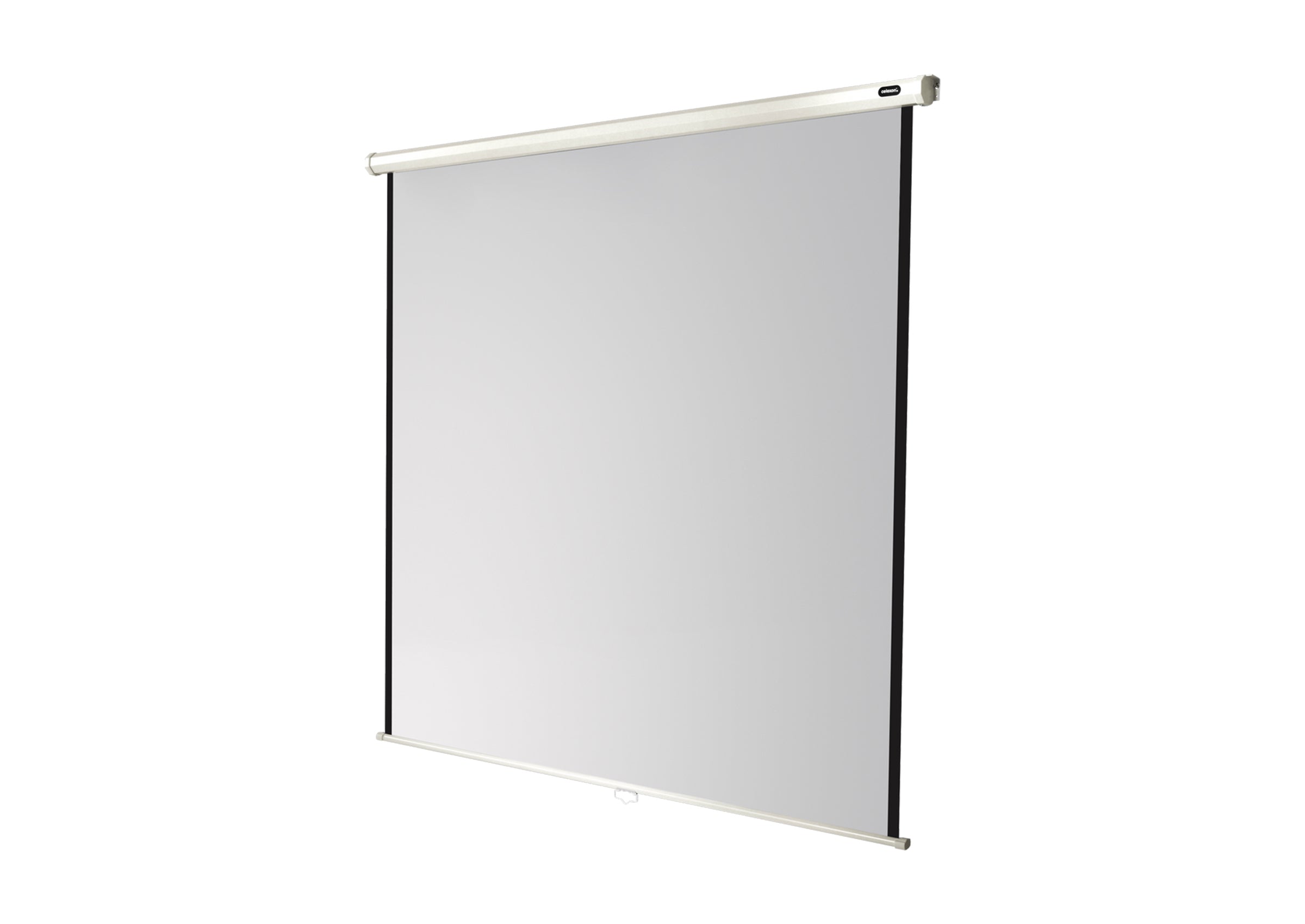 celexon Leinwand Rollo Economy