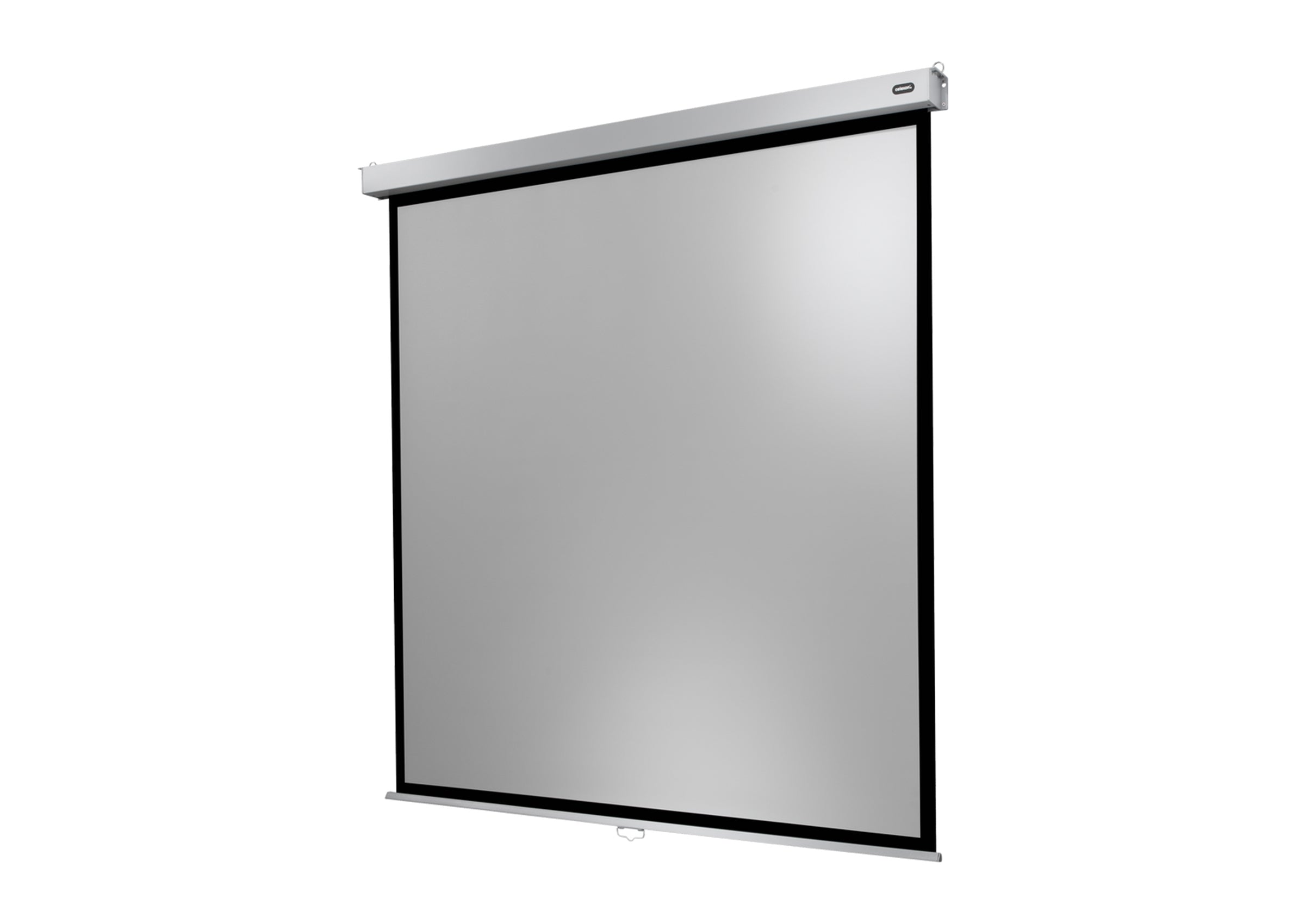 Écran de projection manuel celexon PRO Plus