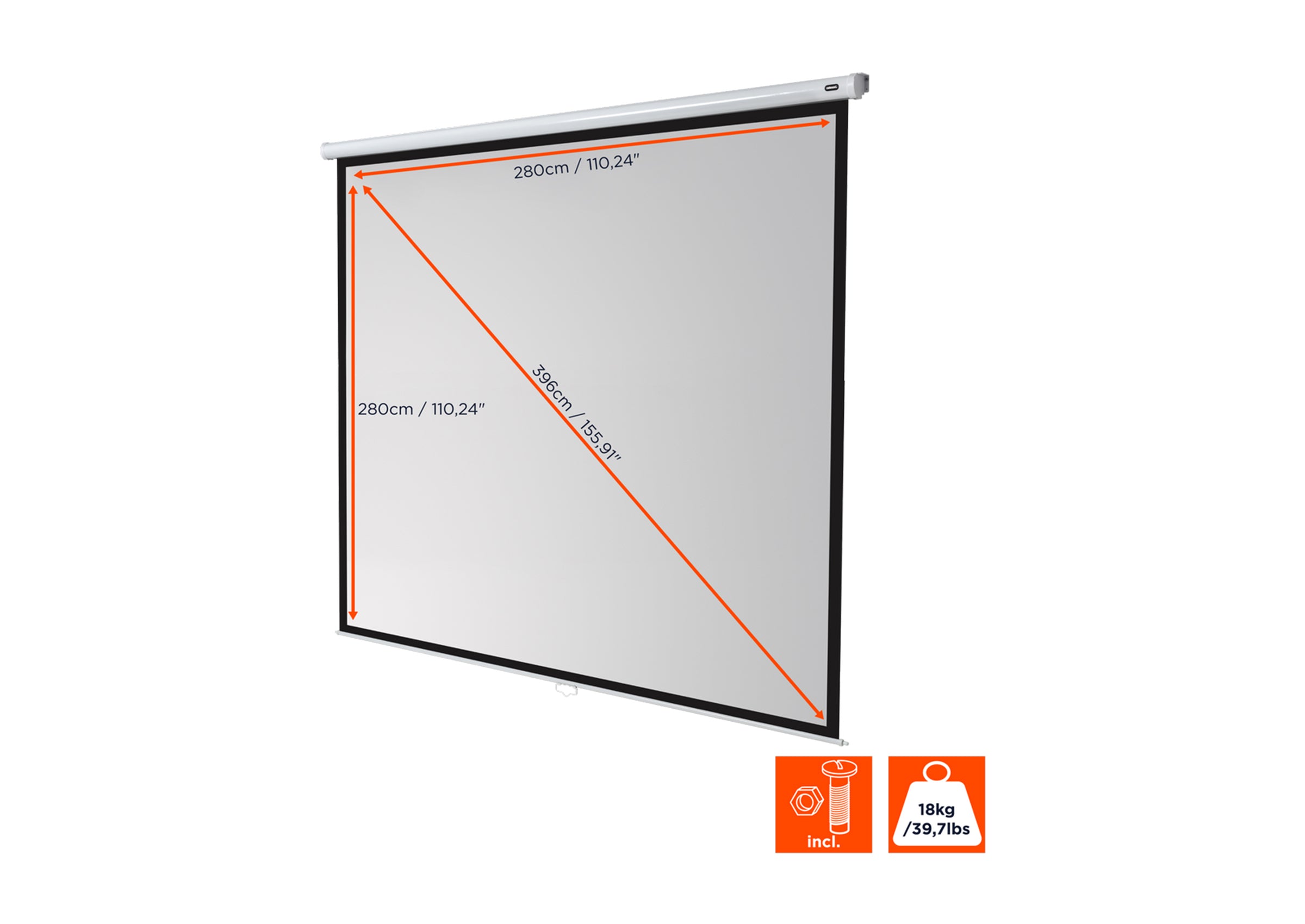 celexon Leinwand Rollo Economy