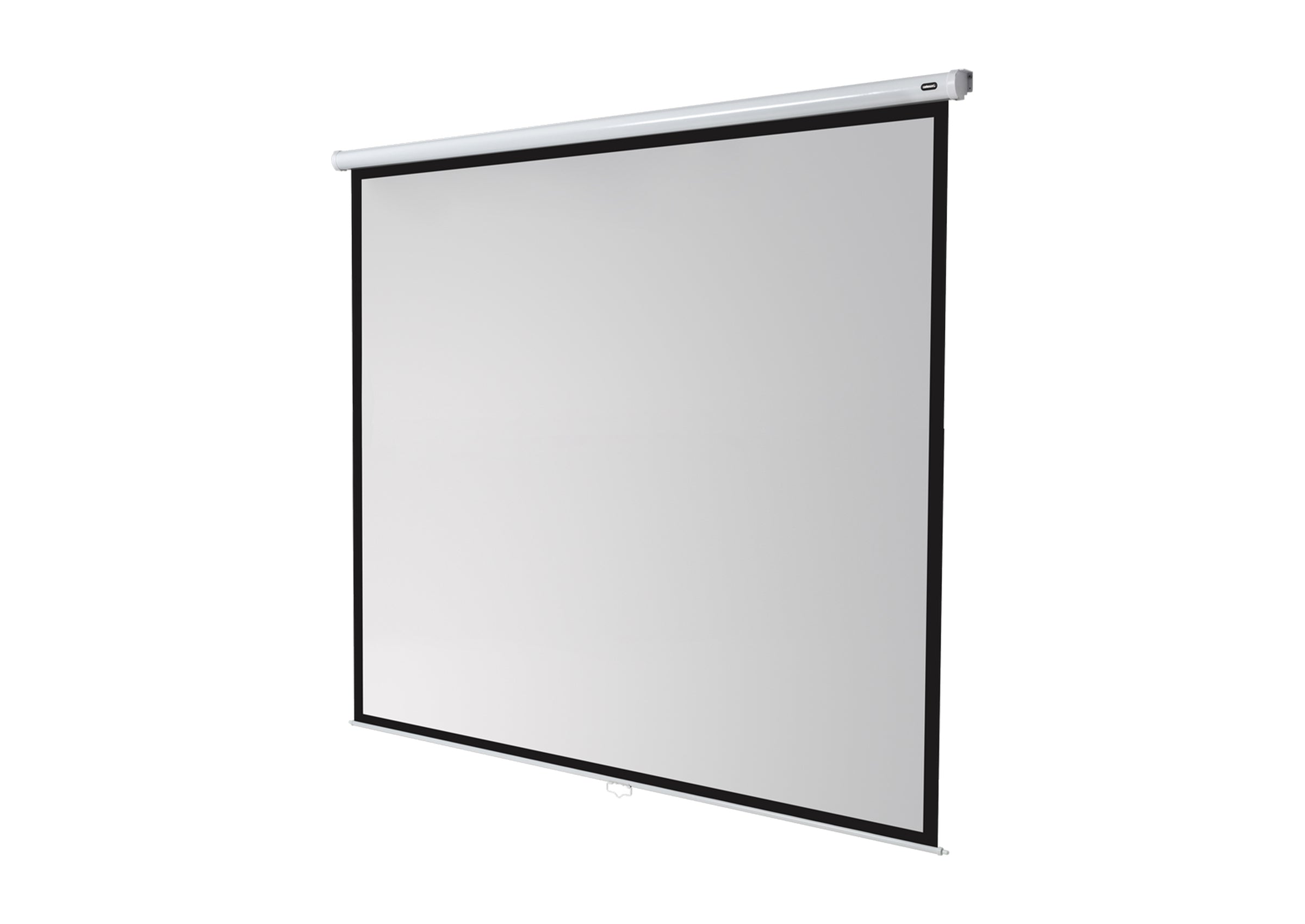 celexon Leinwand Rollo Economy