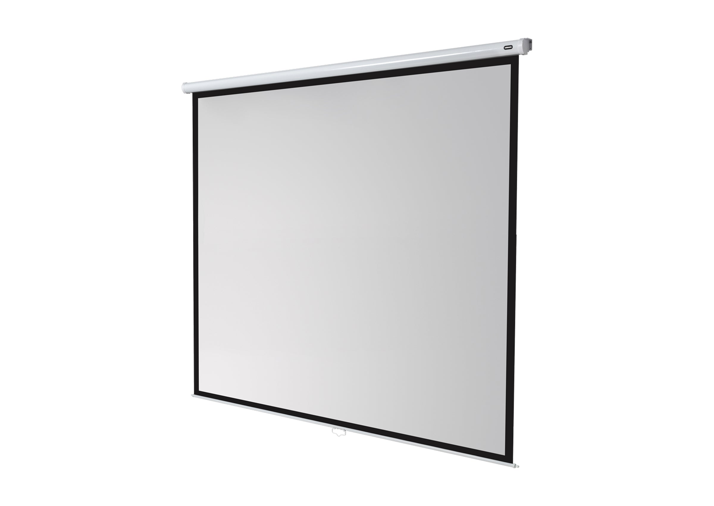 celexon Leinwand Rollo Economy