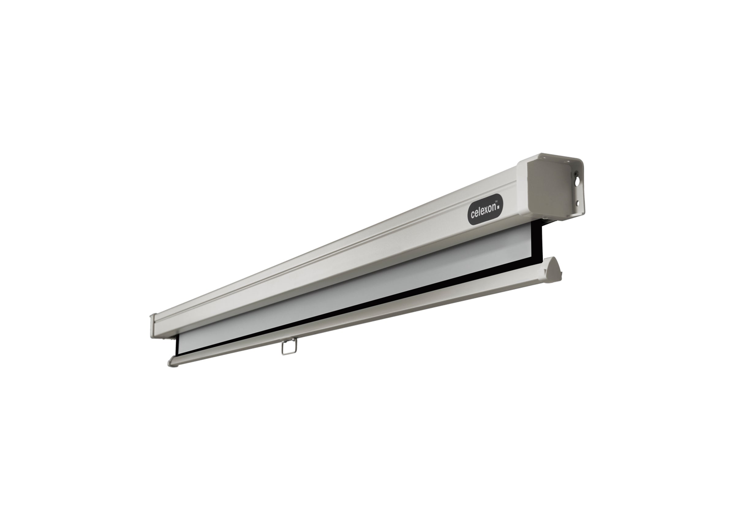 celexon Leinwand Rollo Professional