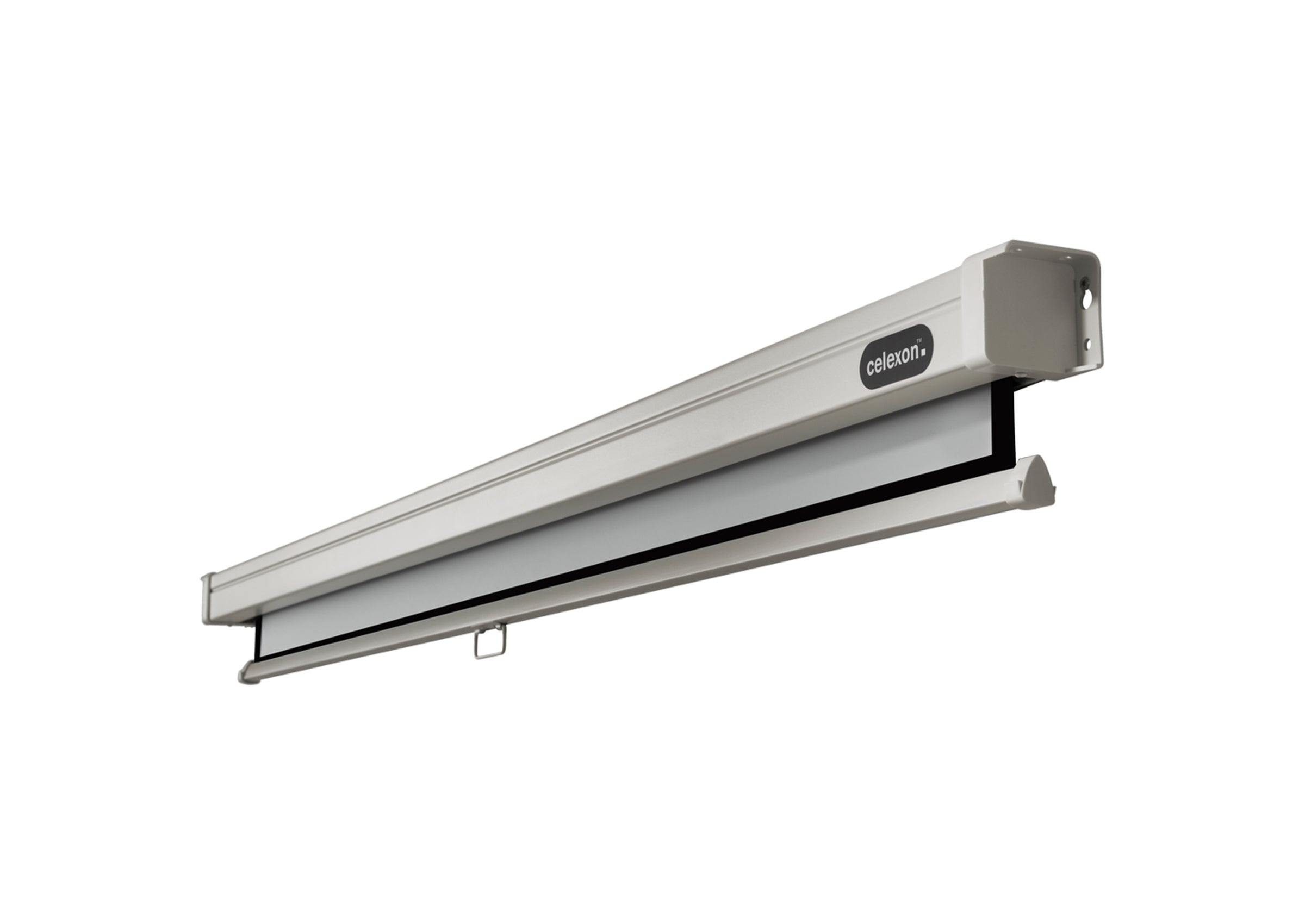celexon Leinwand Rollo Professional