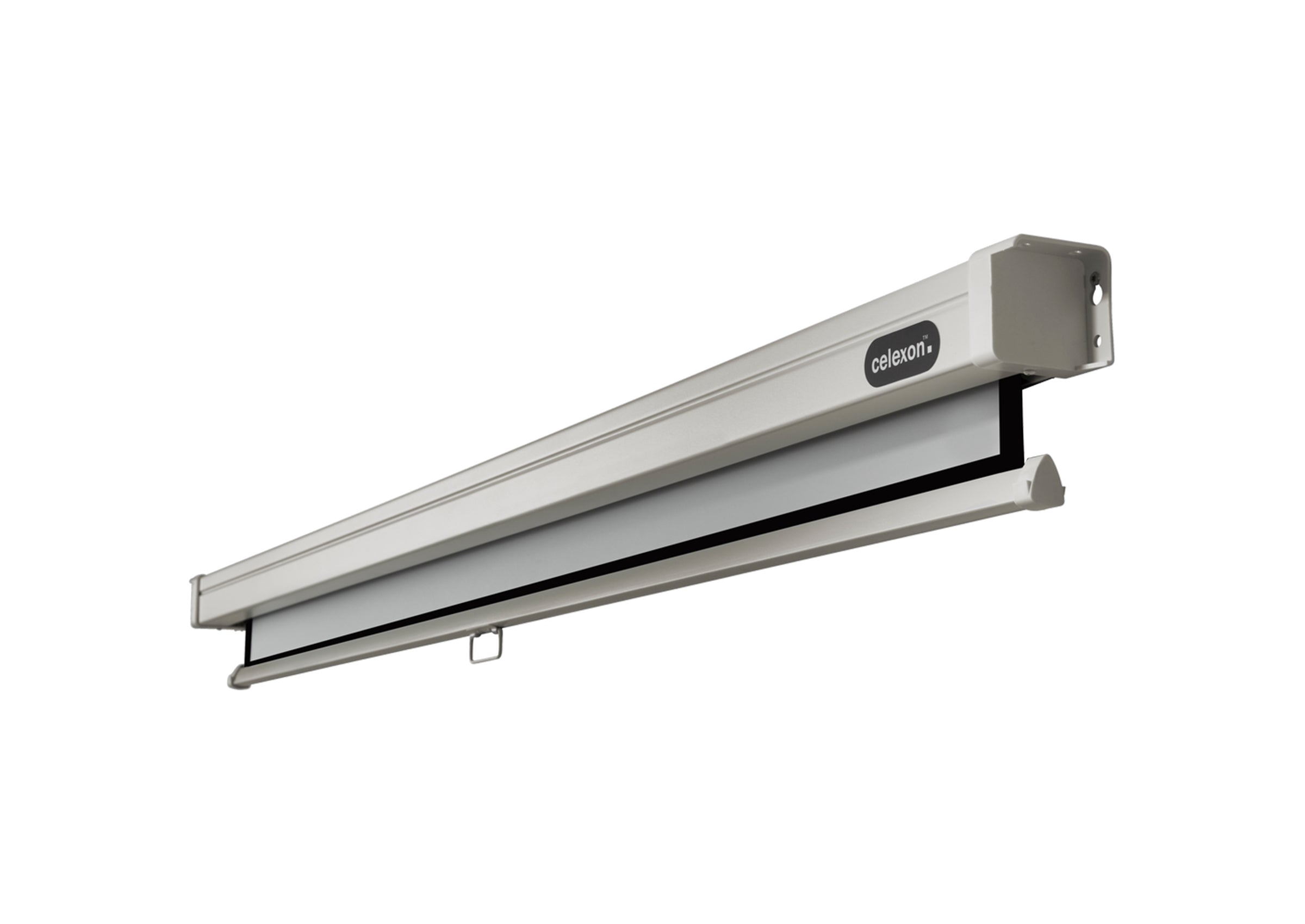 celexon Leinwand Rollo Professional