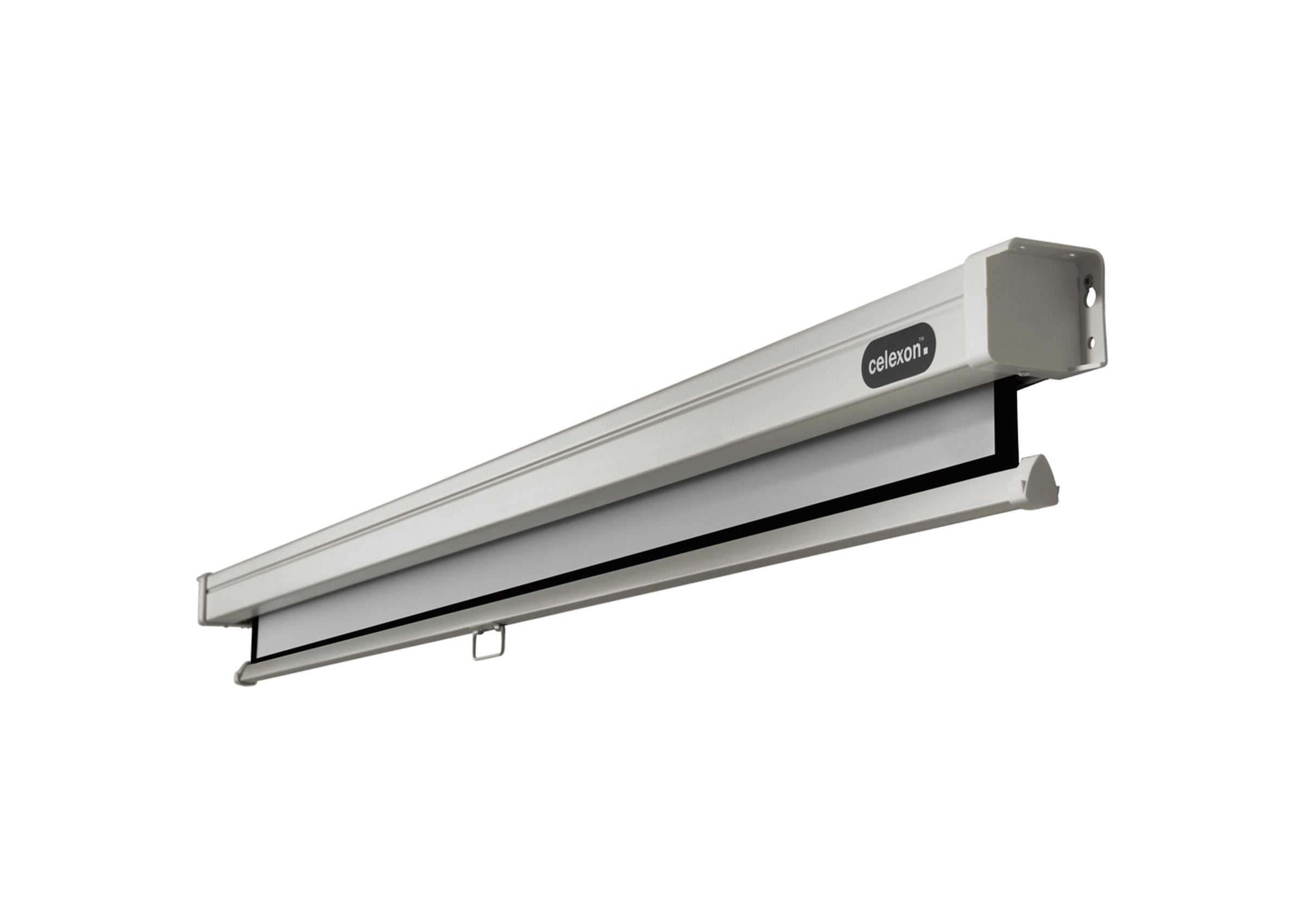 celexon Leinwand Rollo Professional