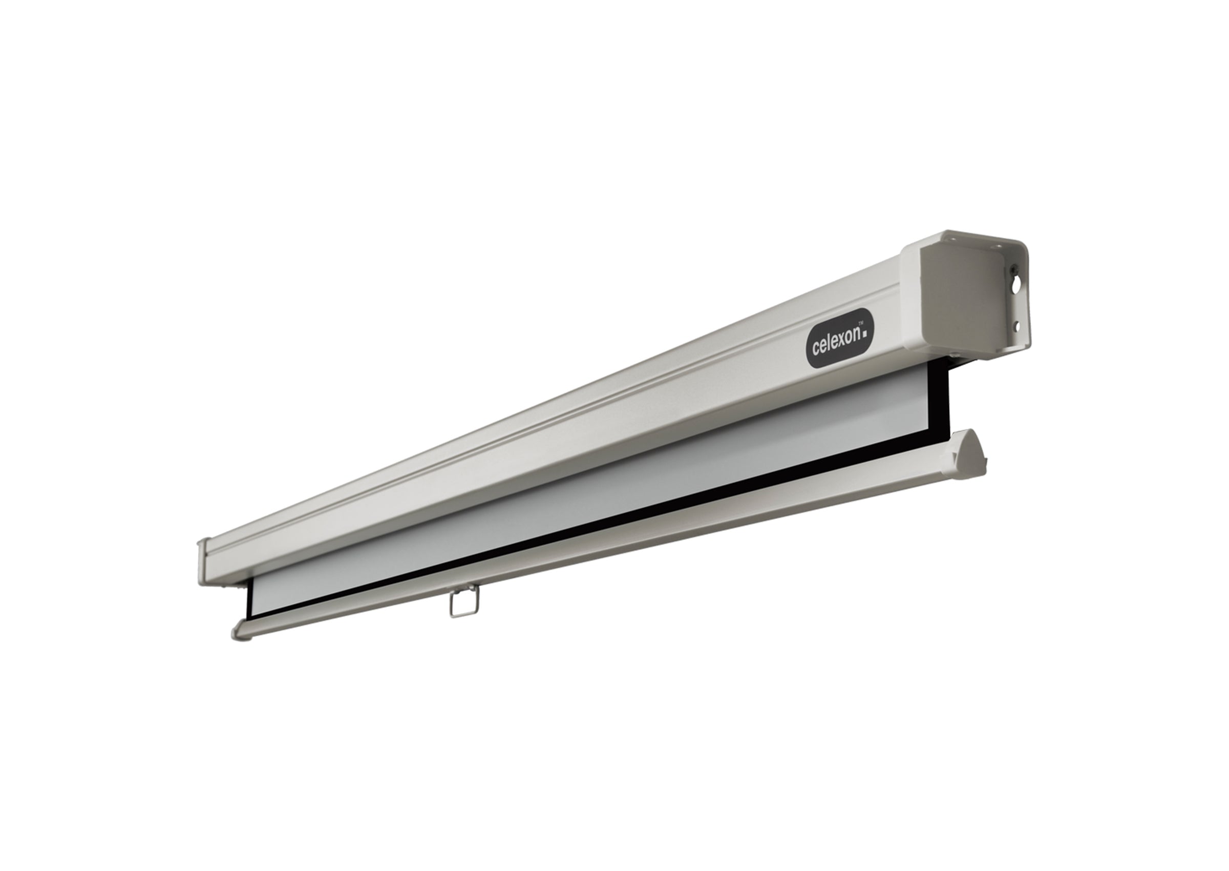 celexon Leinwand Rollo Professional