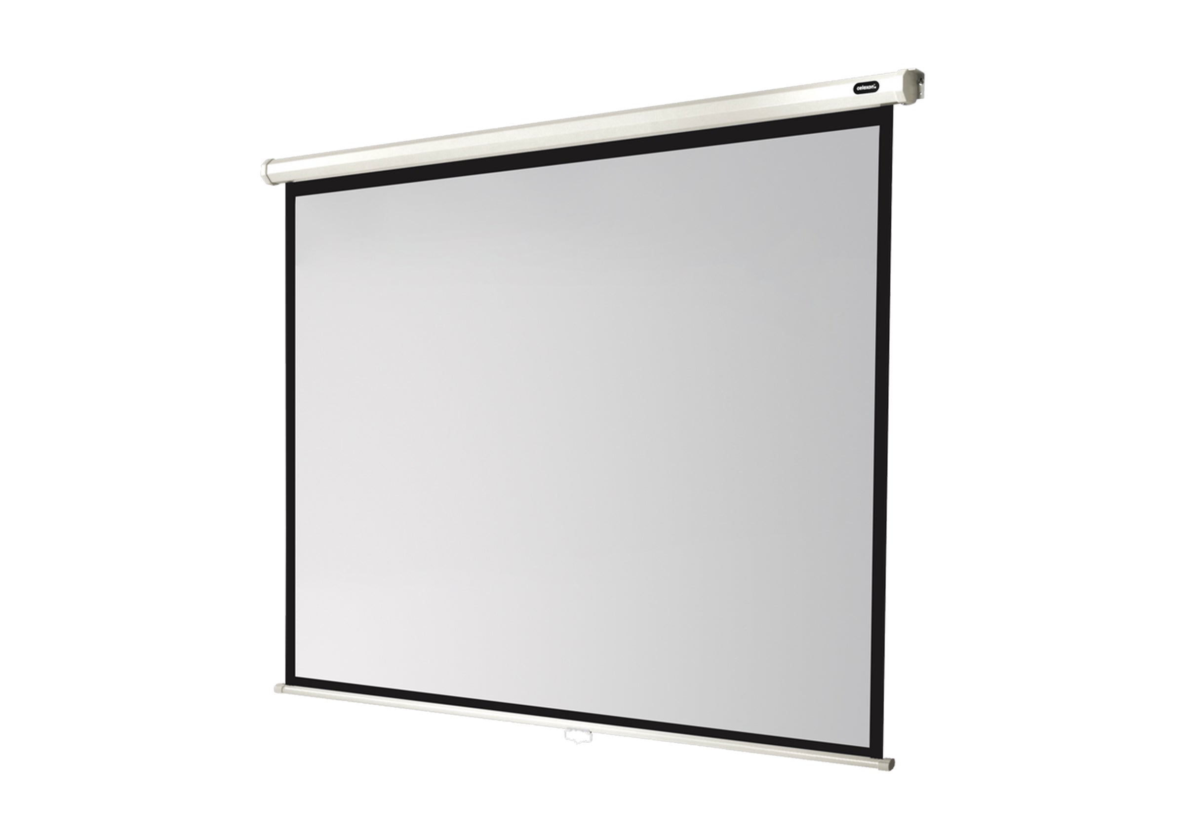 celexon Leinwand Rollo Economy