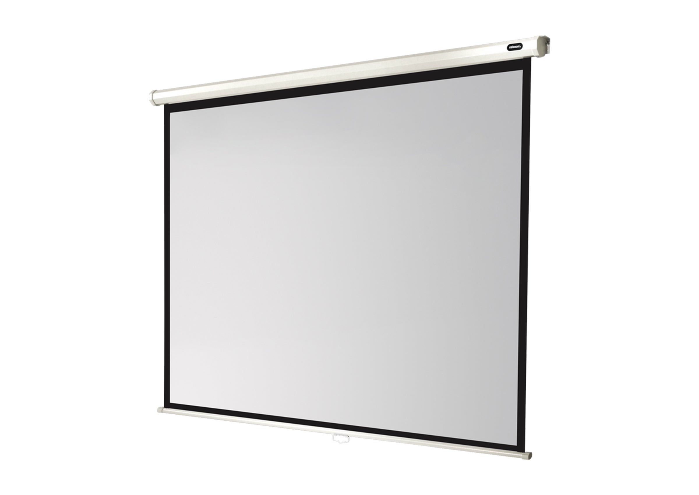 celexon Leinwand Rollo Economy