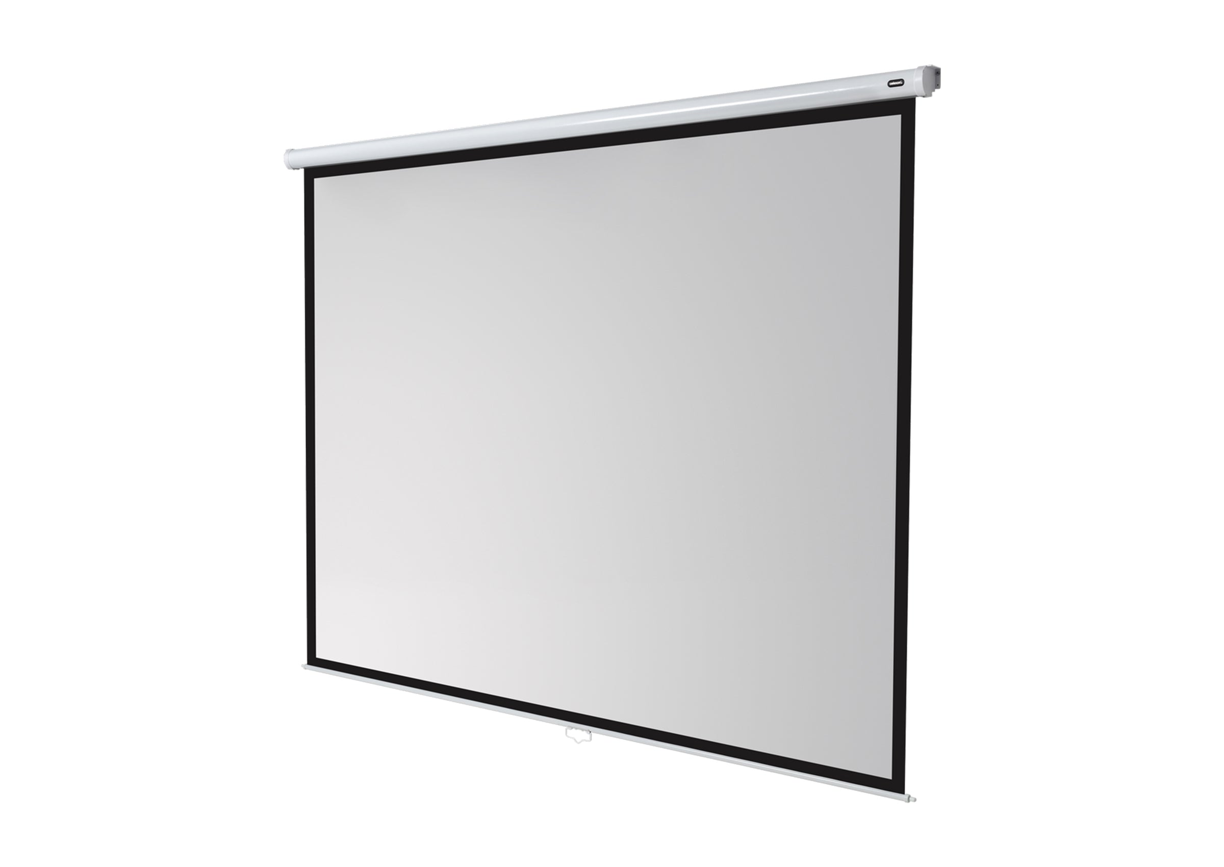 celexon Leinwand Rollo Economy