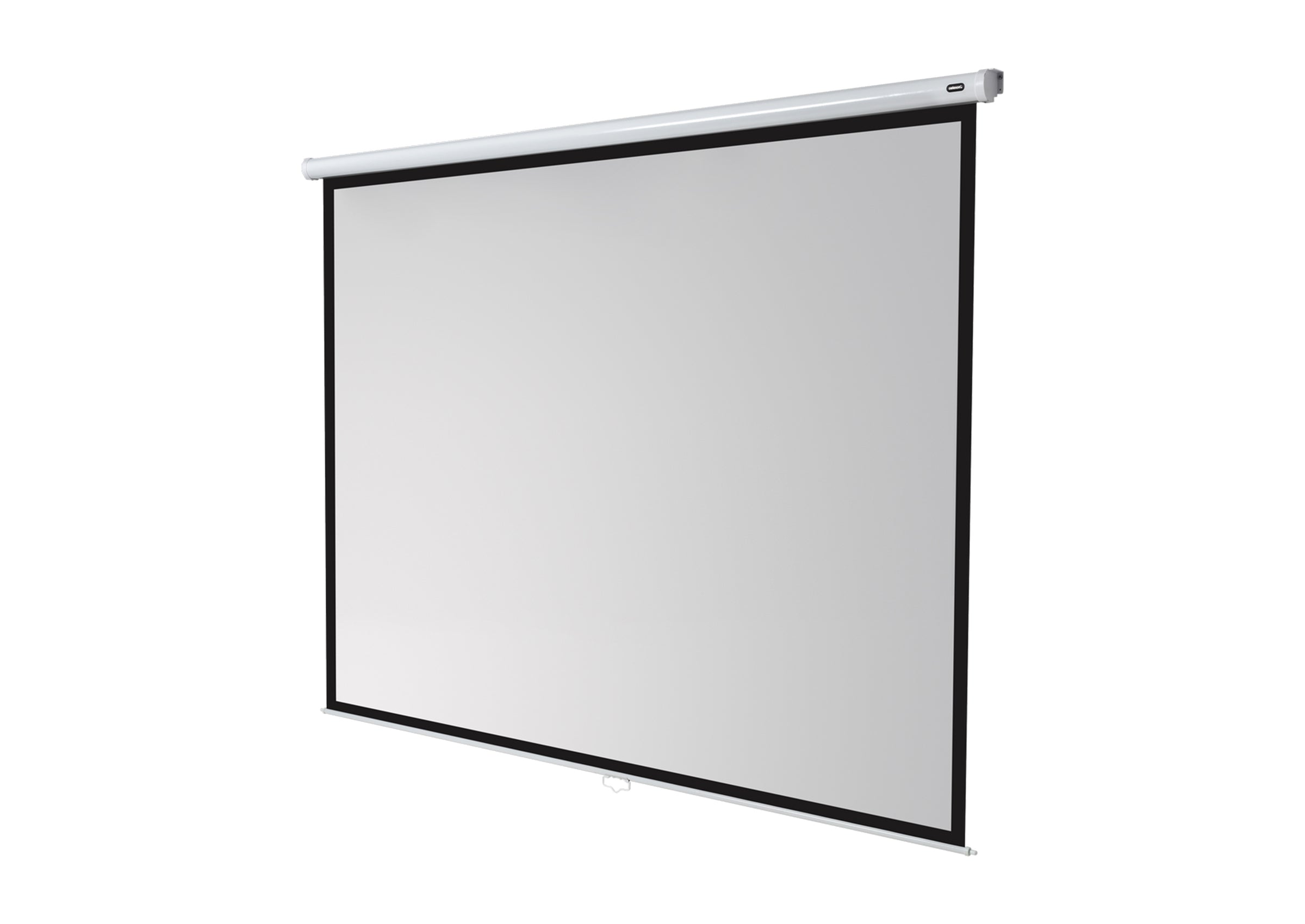 celexon Leinwand Rollo Economy