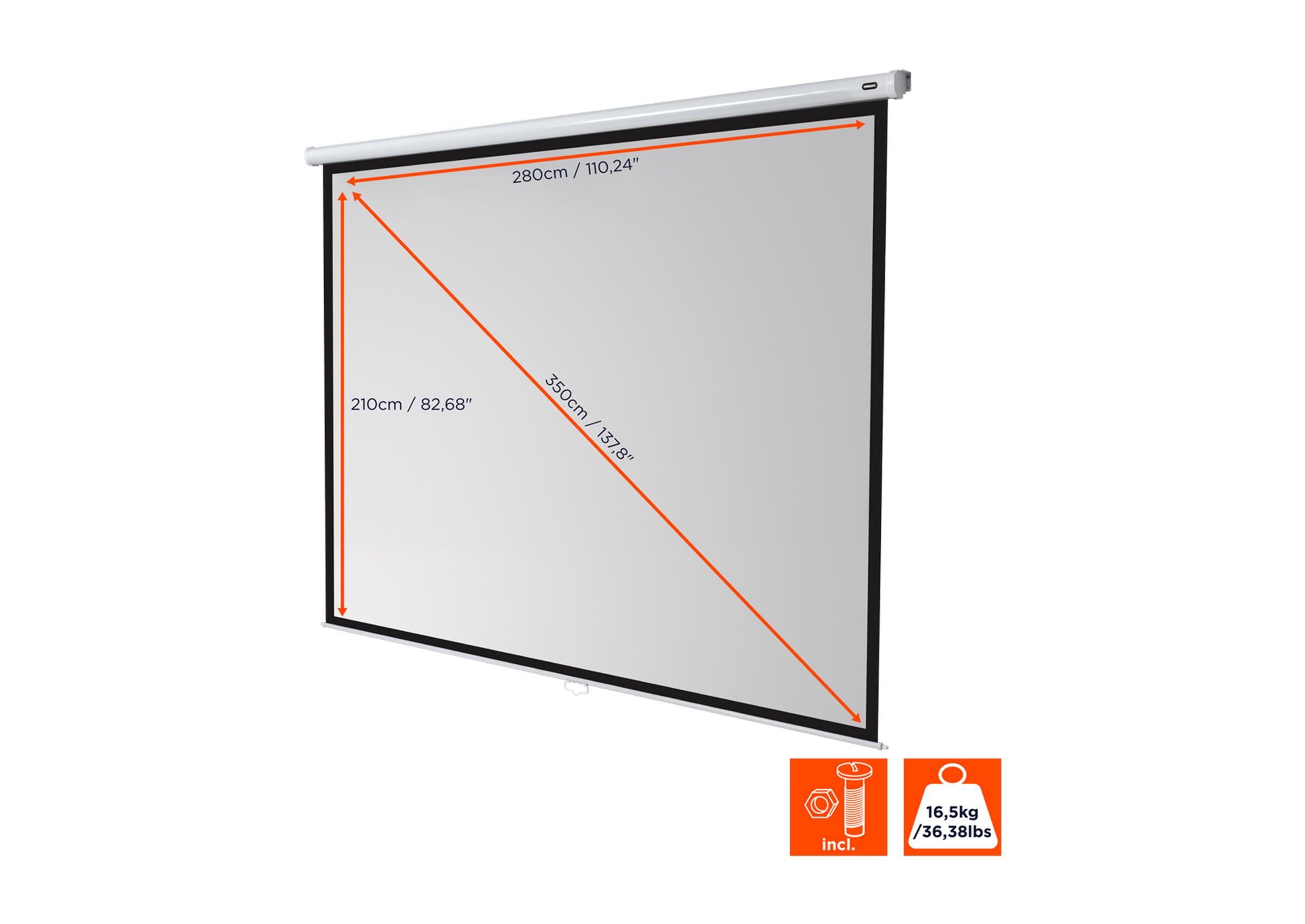 celexon Leinwand Rollo Economy