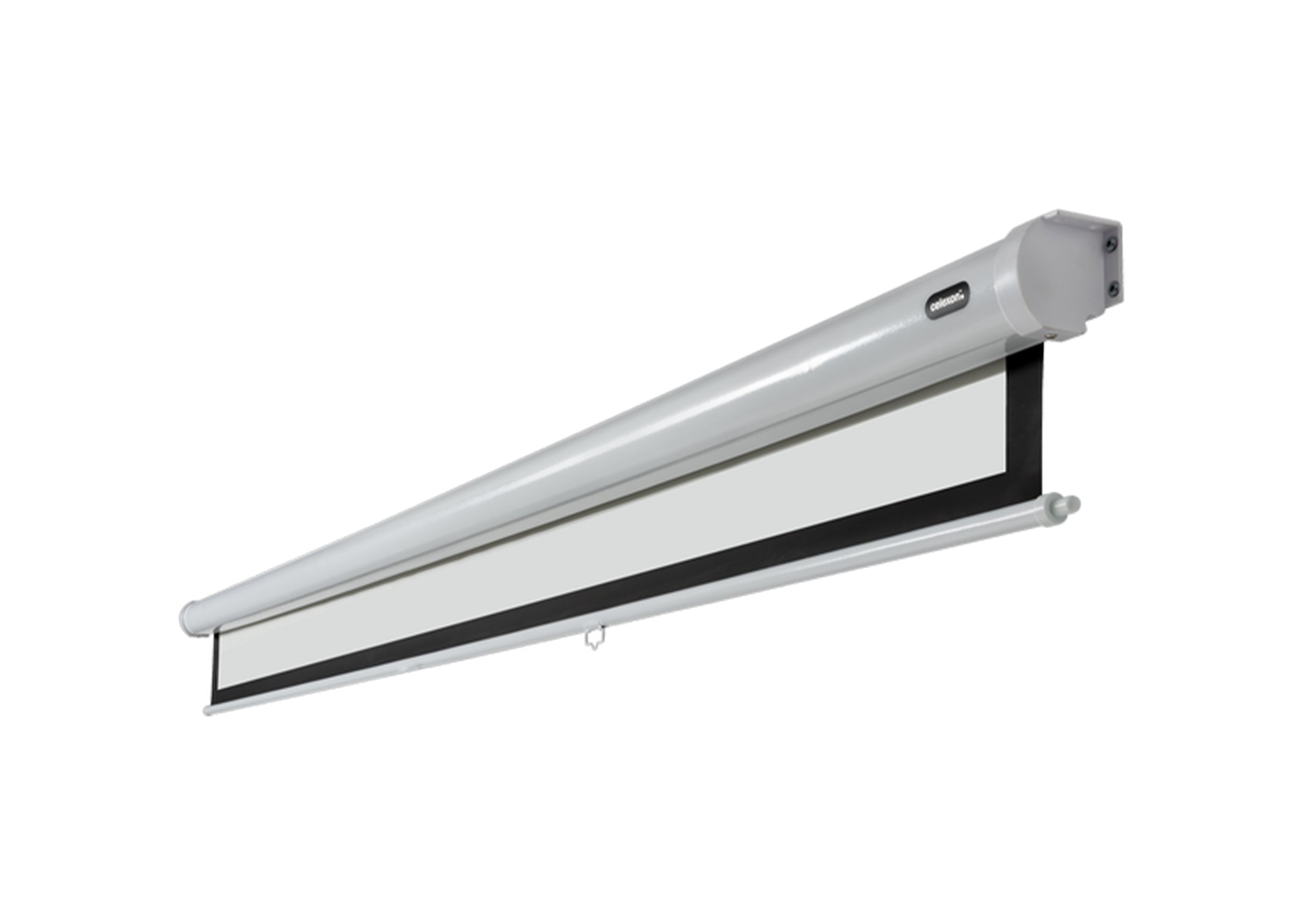 celexon Leinwand Rollo Economy