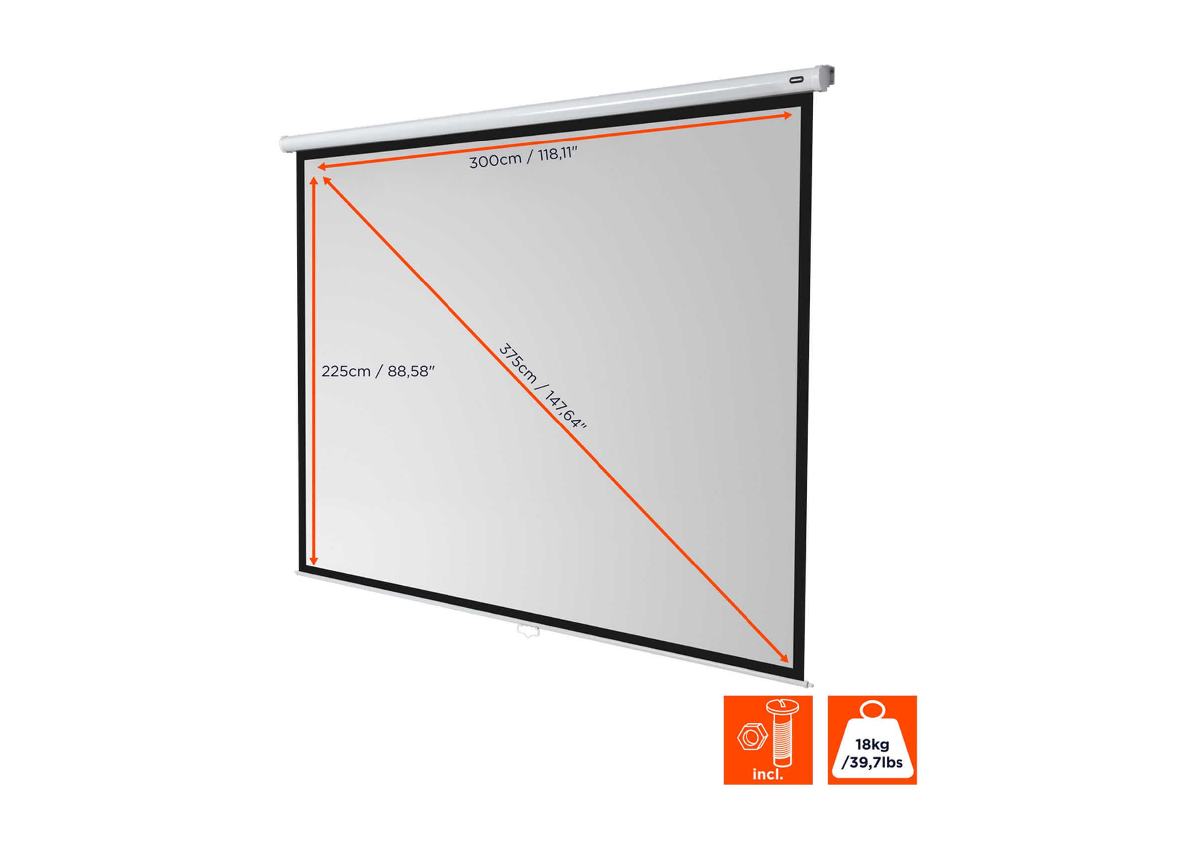 celexon Leinwand Rollo Economy