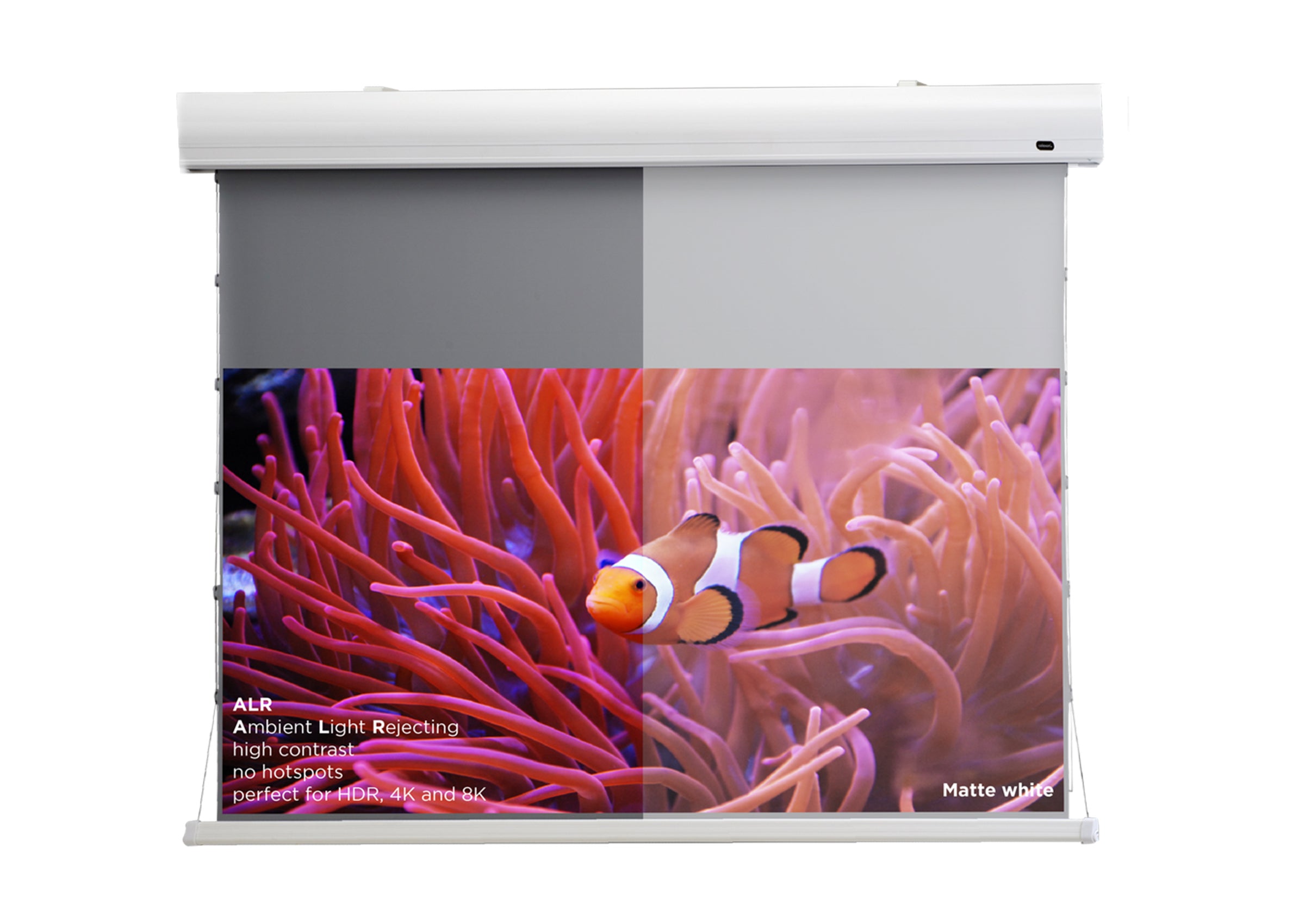 Écran de projection tensionné motorisé celexon HomeCinema à Haut Contraste - Dynamic Slate ALR