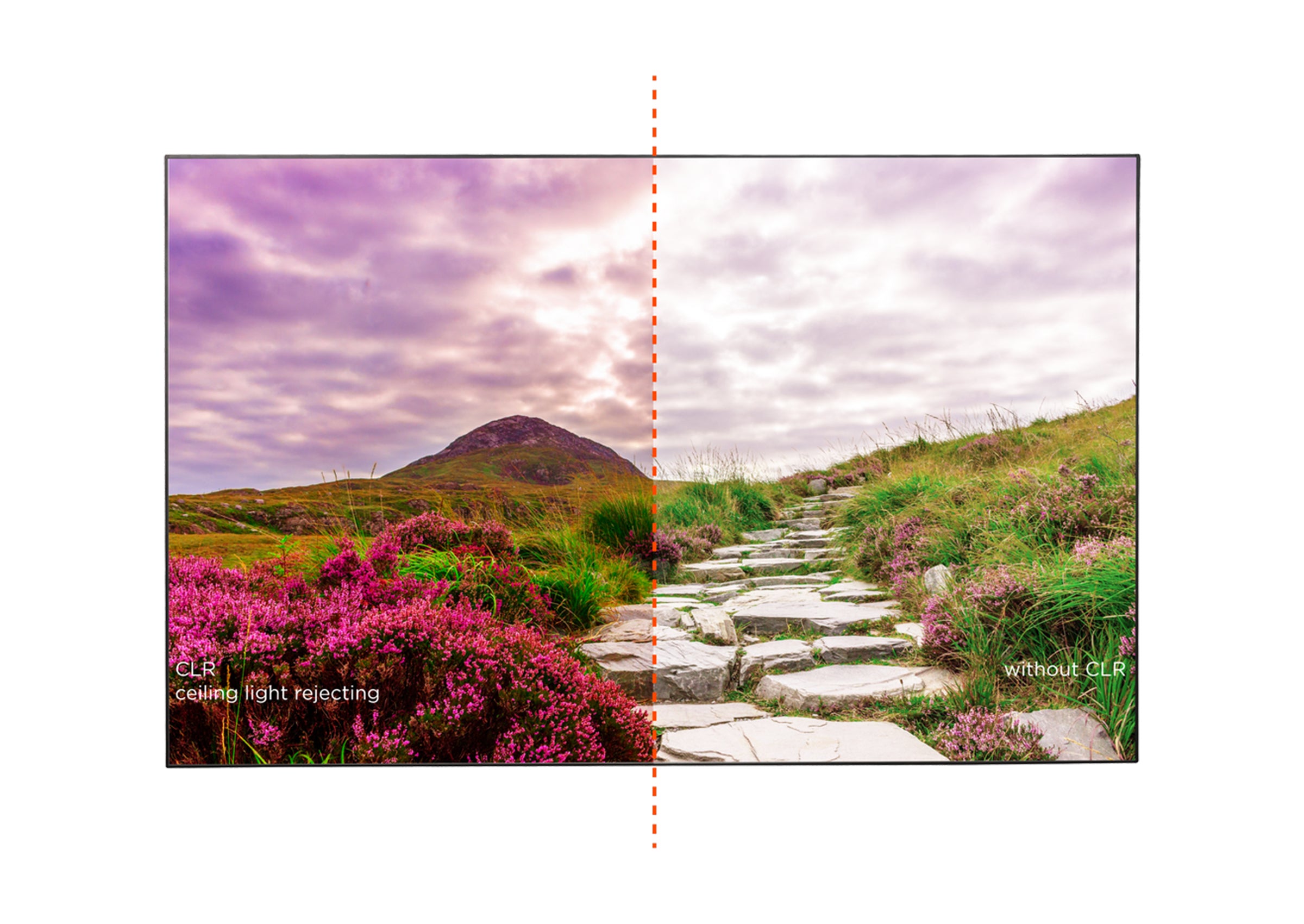 celexon CLR HomeCinema schermo a cornice ad alto contrasto UST V2.0