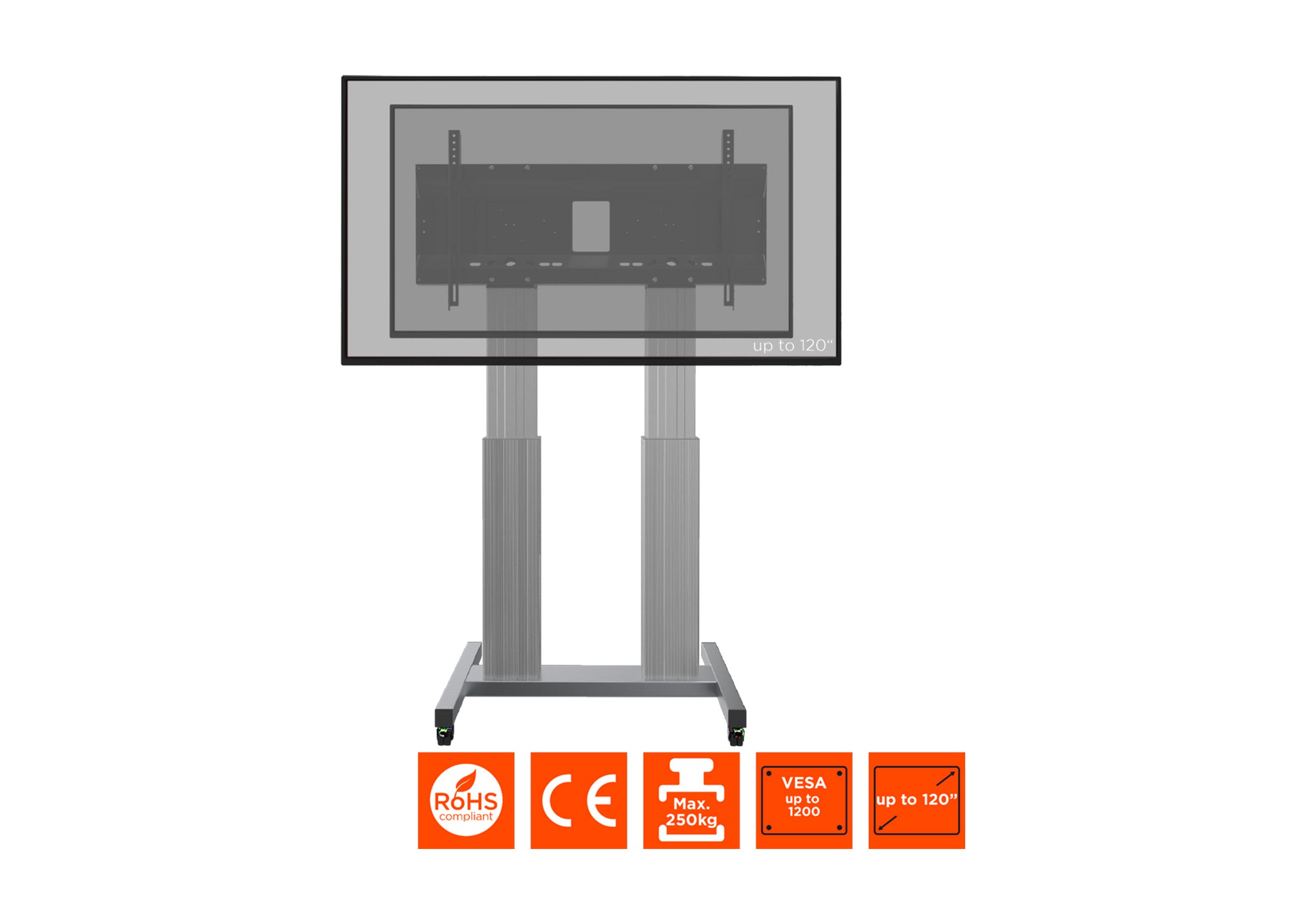 Support mobile celexon Expert Adjust-70120MS réglable en hauteur électriquement - 70"-120"