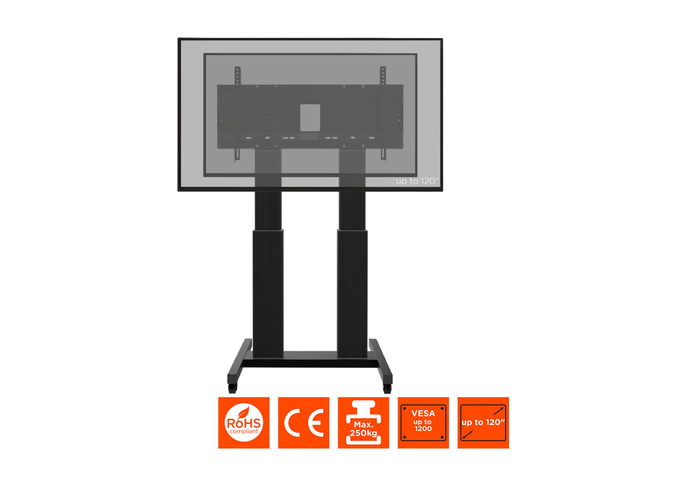 Support mobile celexon Expert Adjust-70120MB réglable en hauteur électriquement - 70"-120"