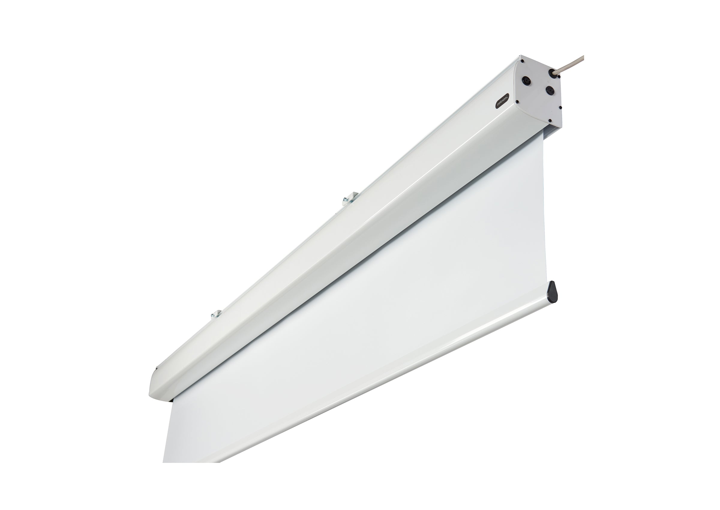 celexon pantalla motorizada Expert