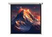 celexon Leinwand Rollo Professional