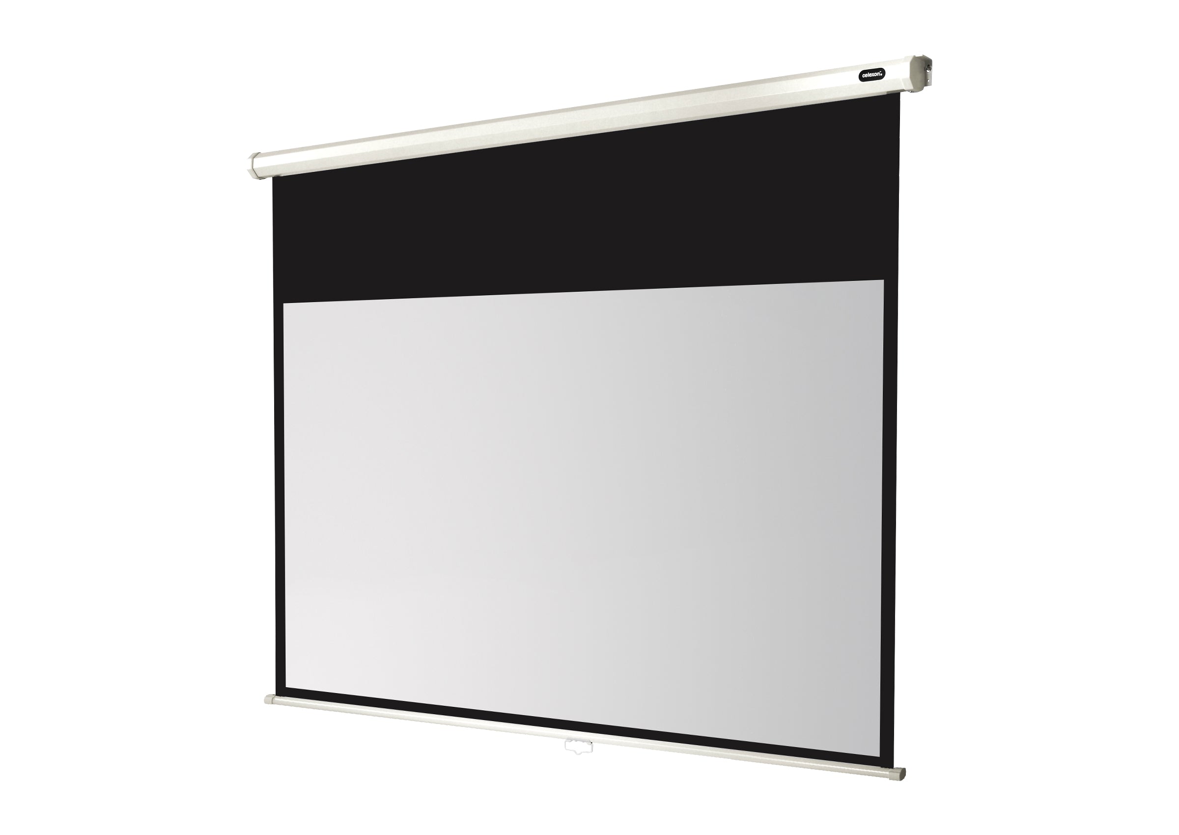 celexon Leinwand Rollo Economy