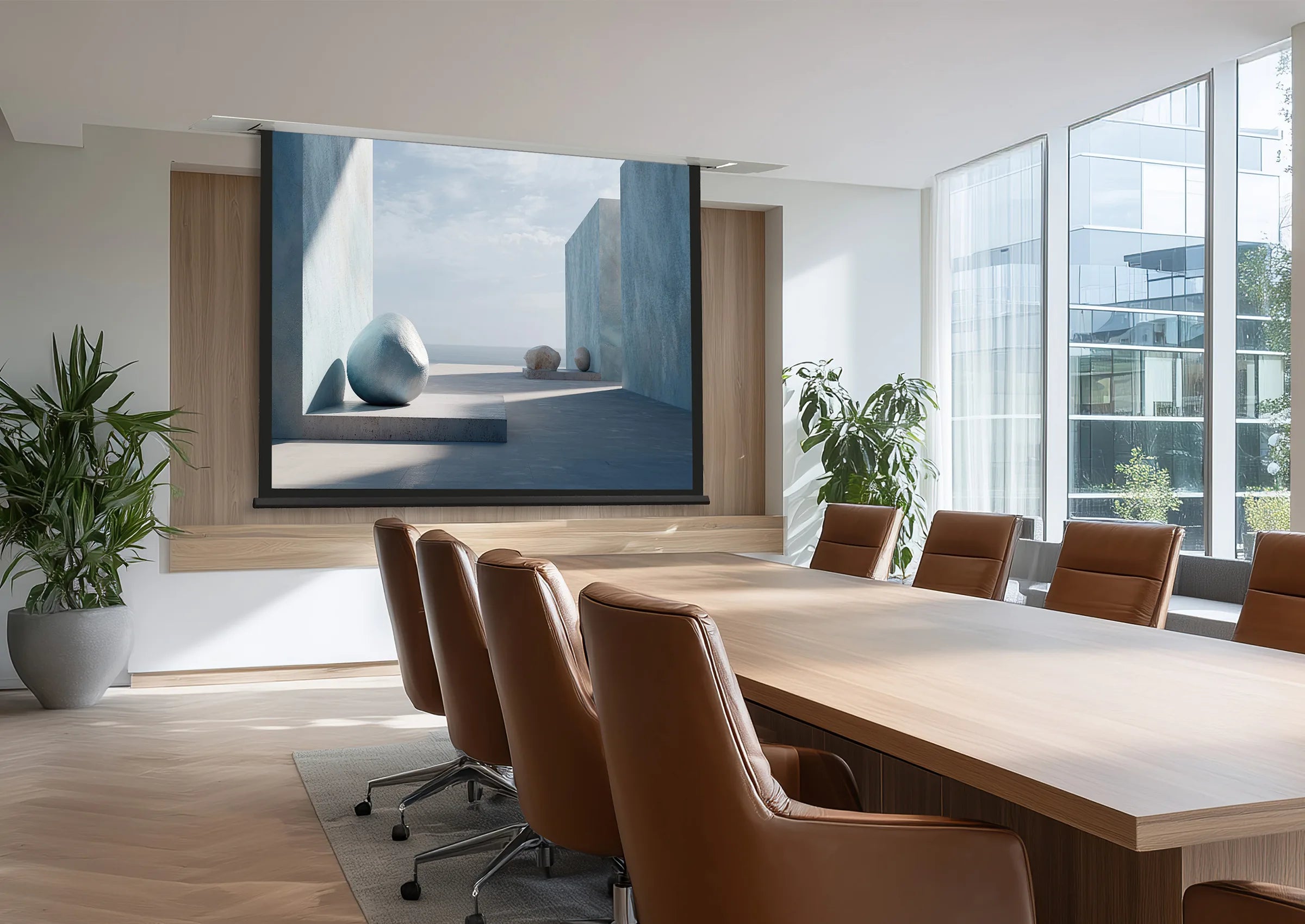 celexon Deckeneinbau Leinwand Motor Expert