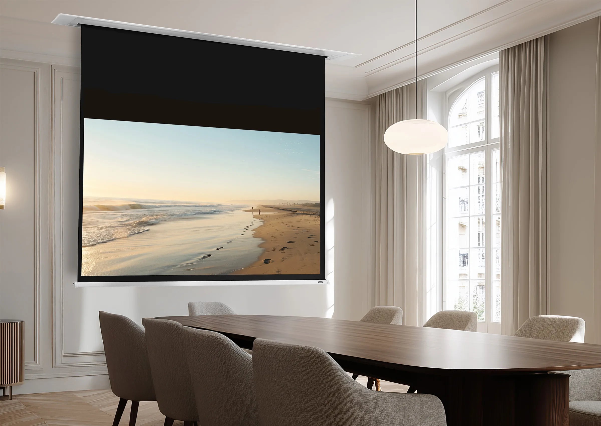 celexon Ceiling Recessed Electric Professional Plus Projector Screen