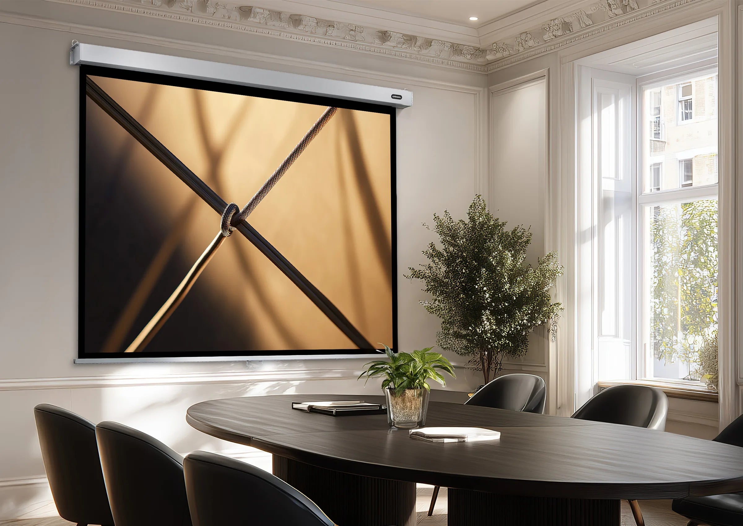 celexon Leinwand Rollo Professional Plus