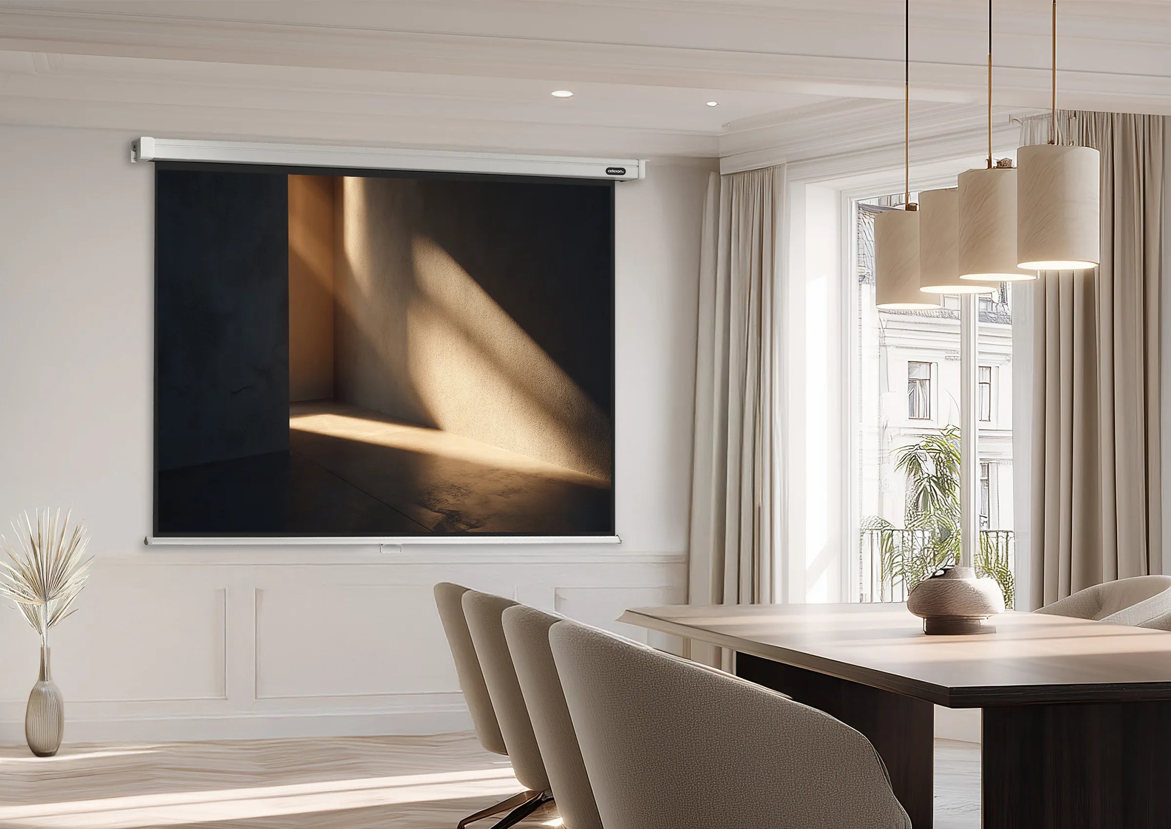 celexon Leinwand Rollo Professional