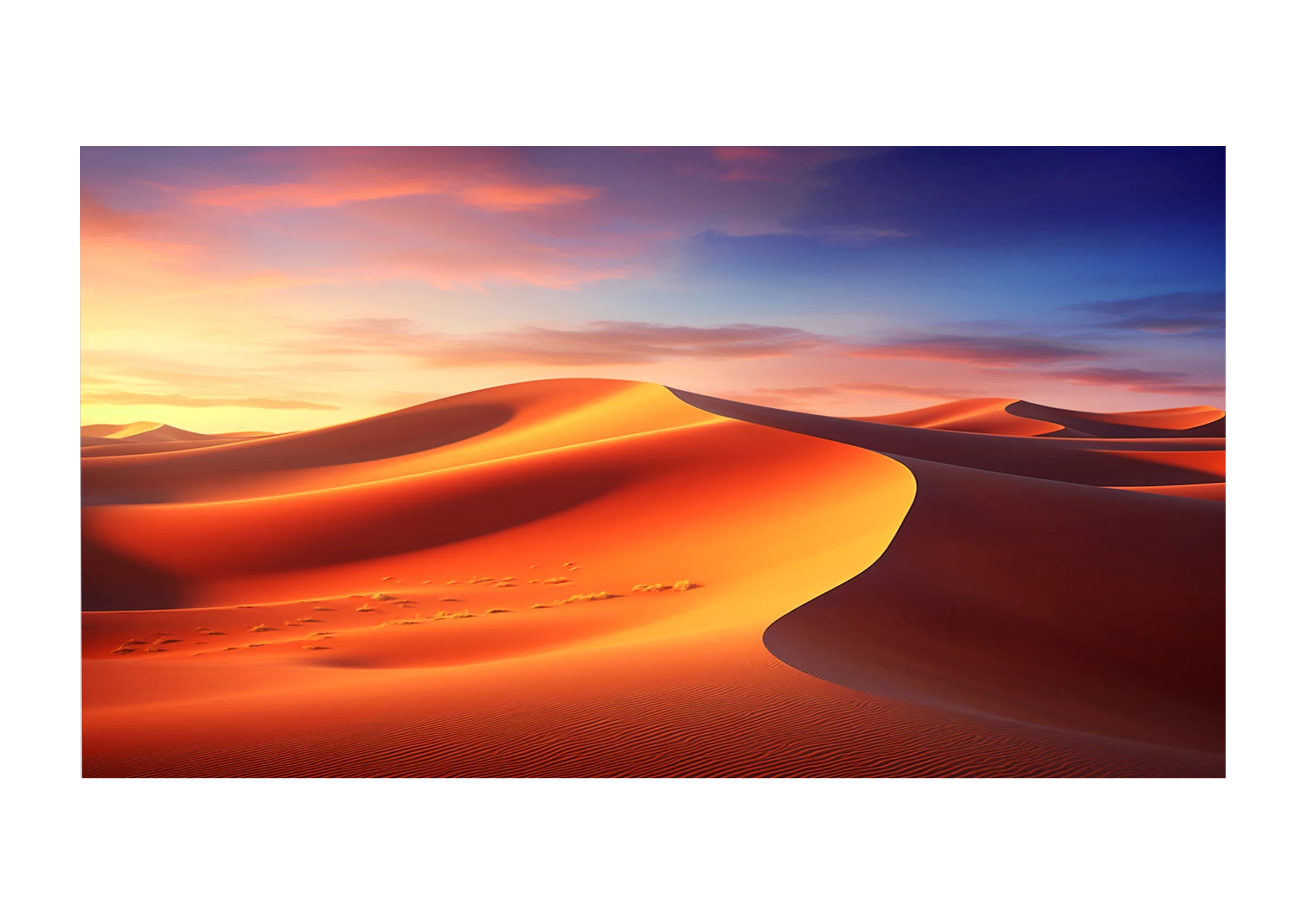 celexon pantalla de marco Expert PureWhite