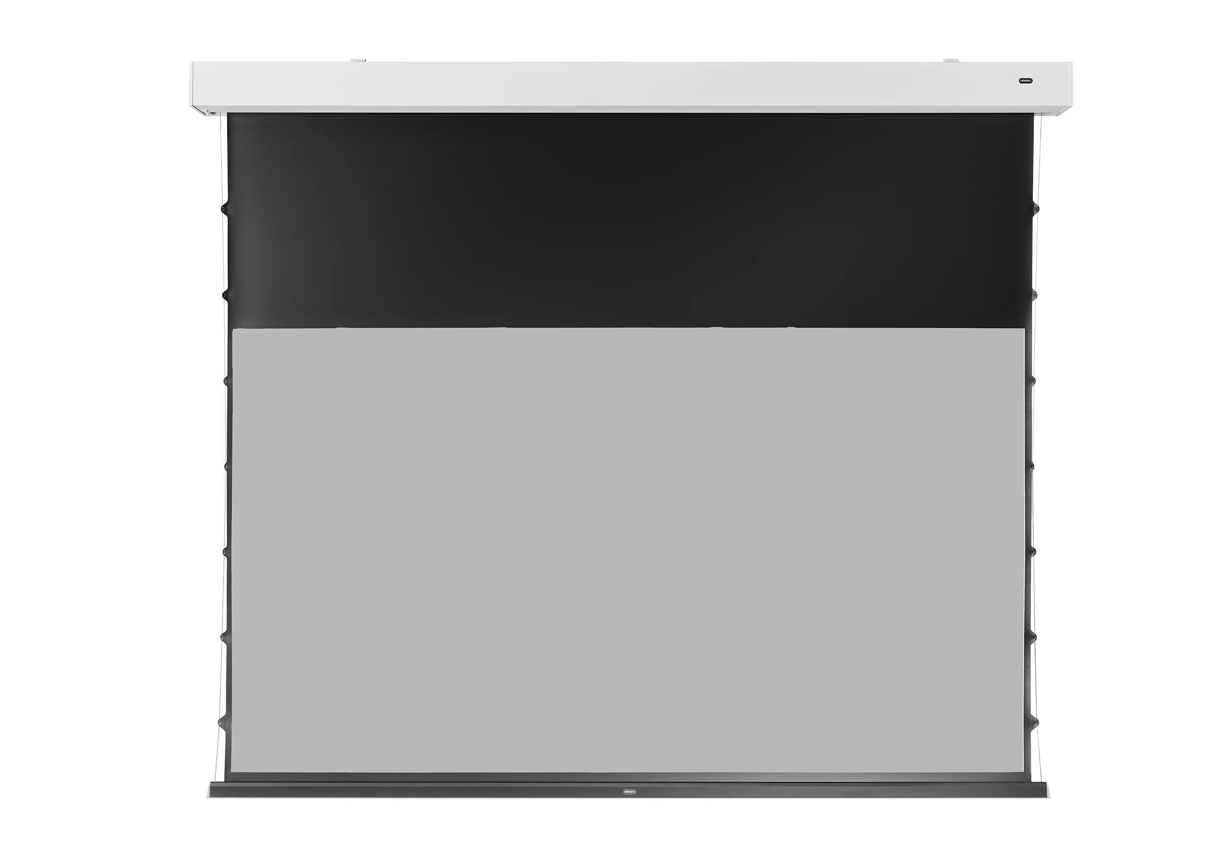 celexon Écran GREYVISION Premium Plus à tension électrique
