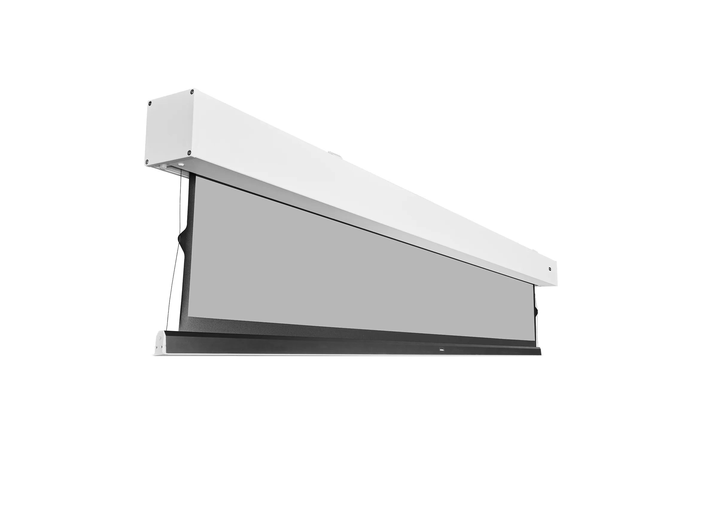 celexon Écran GREYVISION Premium Plus à tension électrique