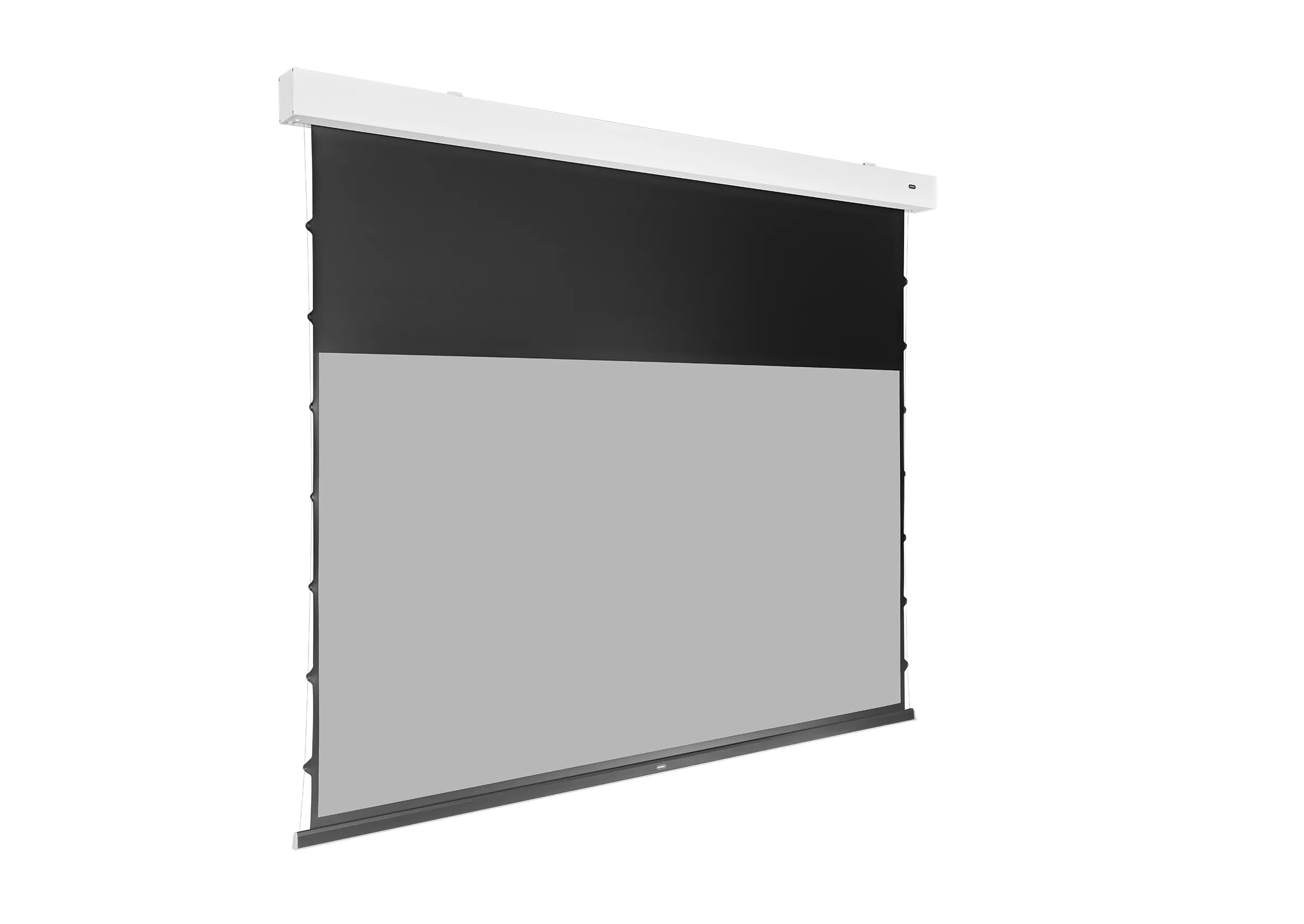 celexon Écran GREYVISION Premium Plus à tension électrique