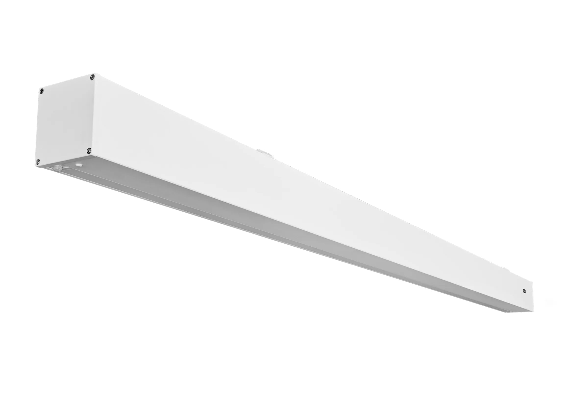 celexon Écran GREYVISION Premium Plus à tension électrique