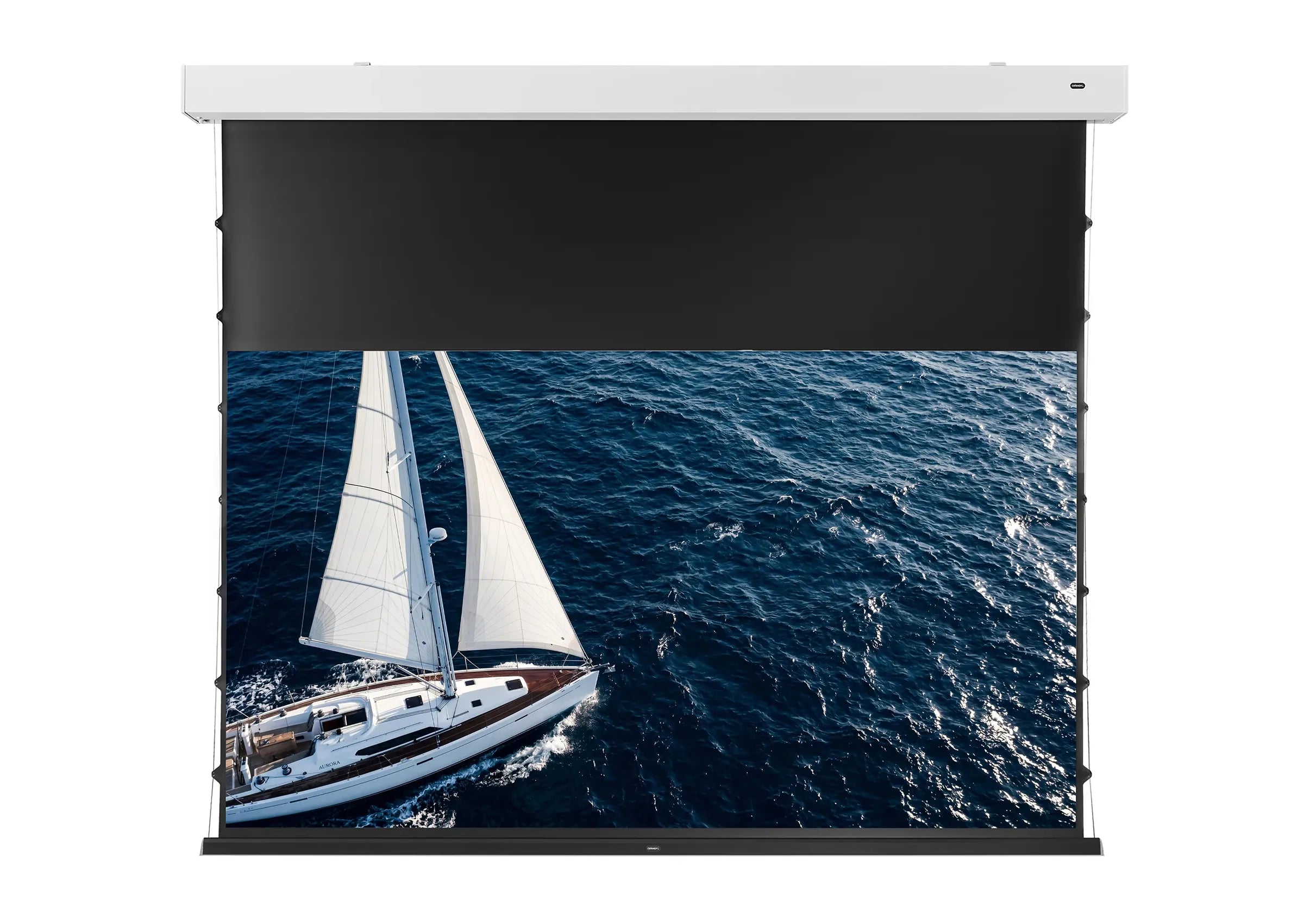 celexon GREYVISION Premium Plus Pantalla eléctrica tensionada